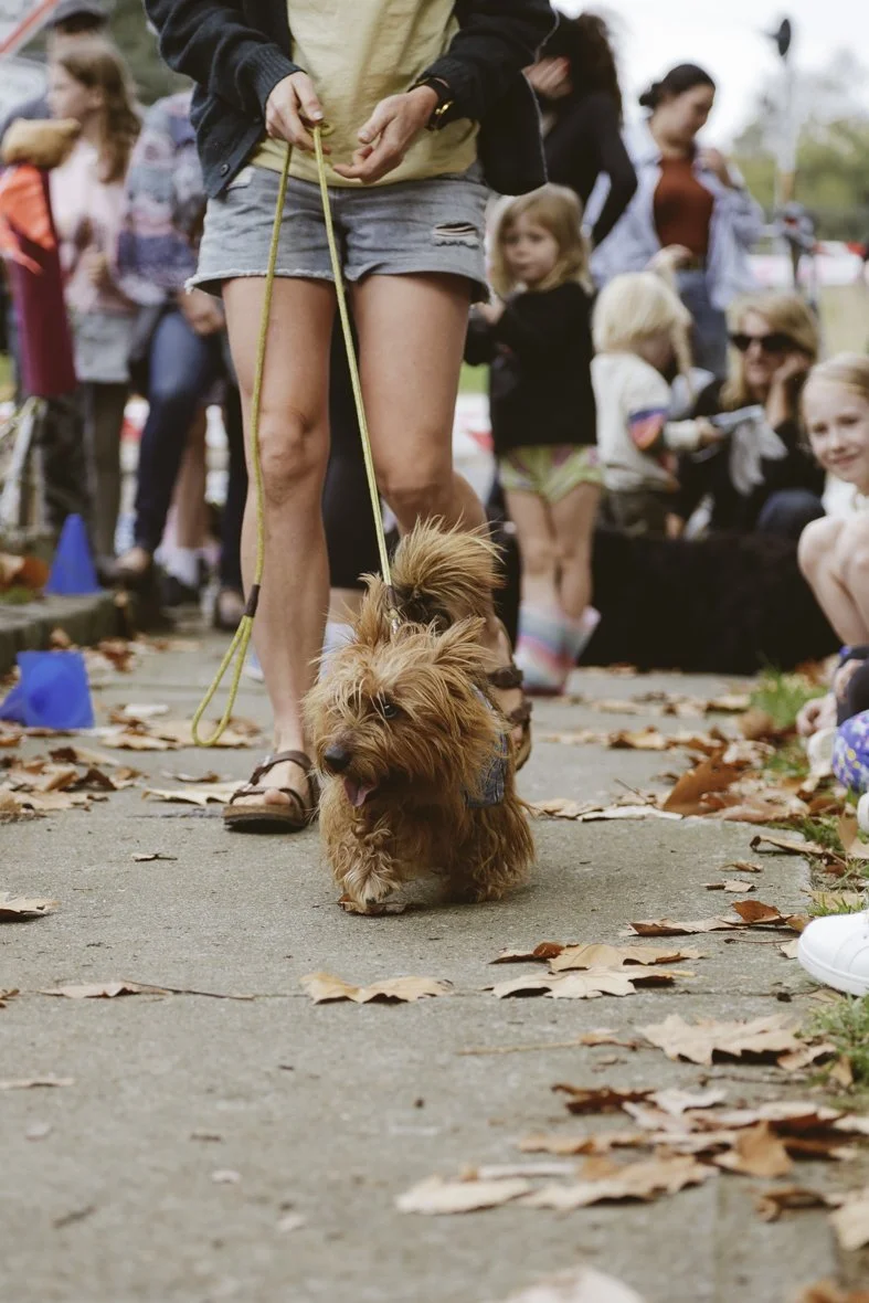 ACC AlphShow25 LR-2582.jpg