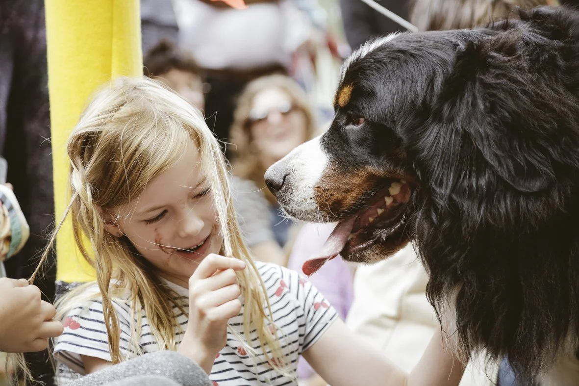 ACC AlphShow25 LR-2628.jpg