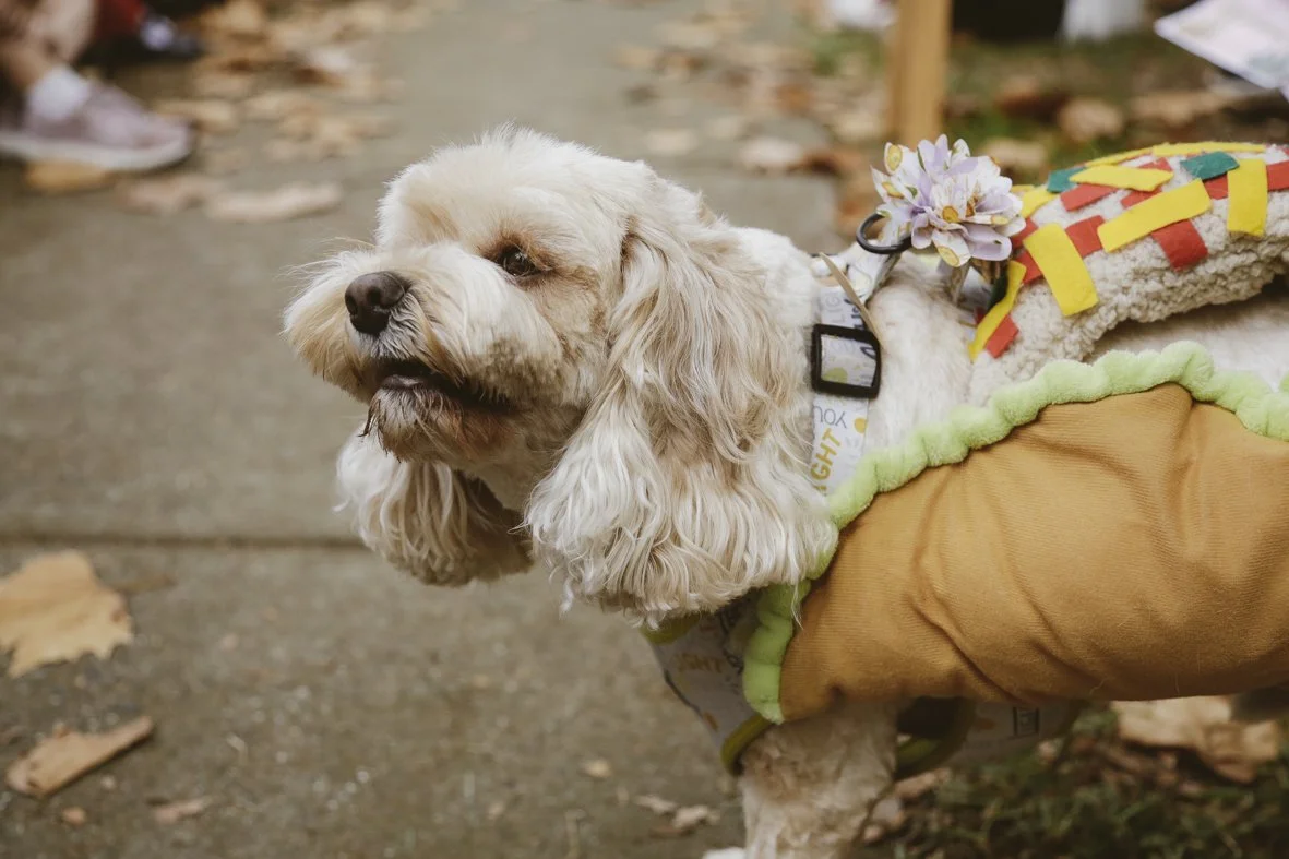 ACC AlphShow25 LR-3001.jpg