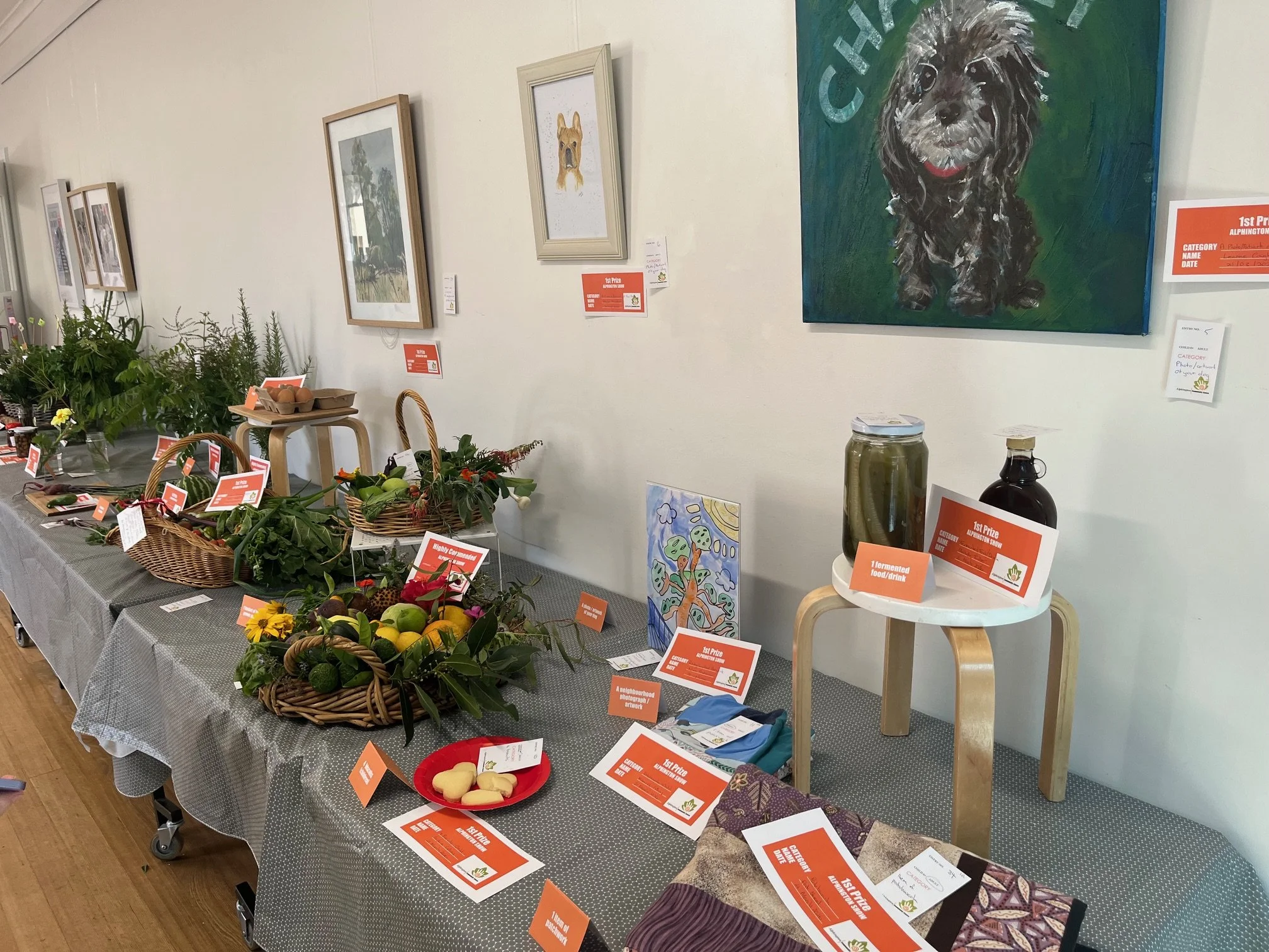 Alphington Show 2026 (1).jpeg