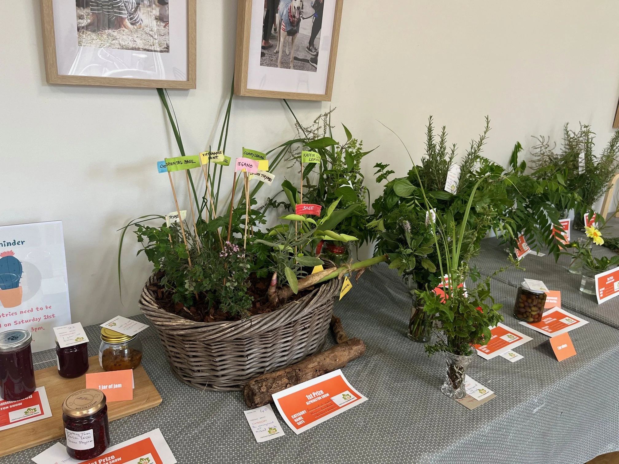 Alphington Show 2026 (2).jpeg