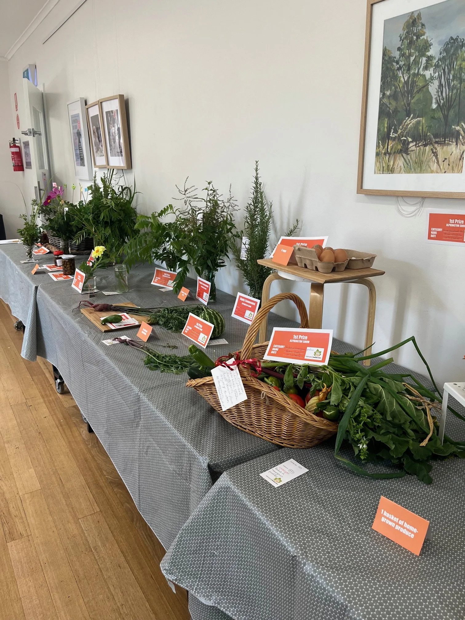 Alphington Show 2026 (5).jpeg