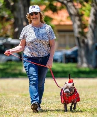 Does your doggy need a walk?