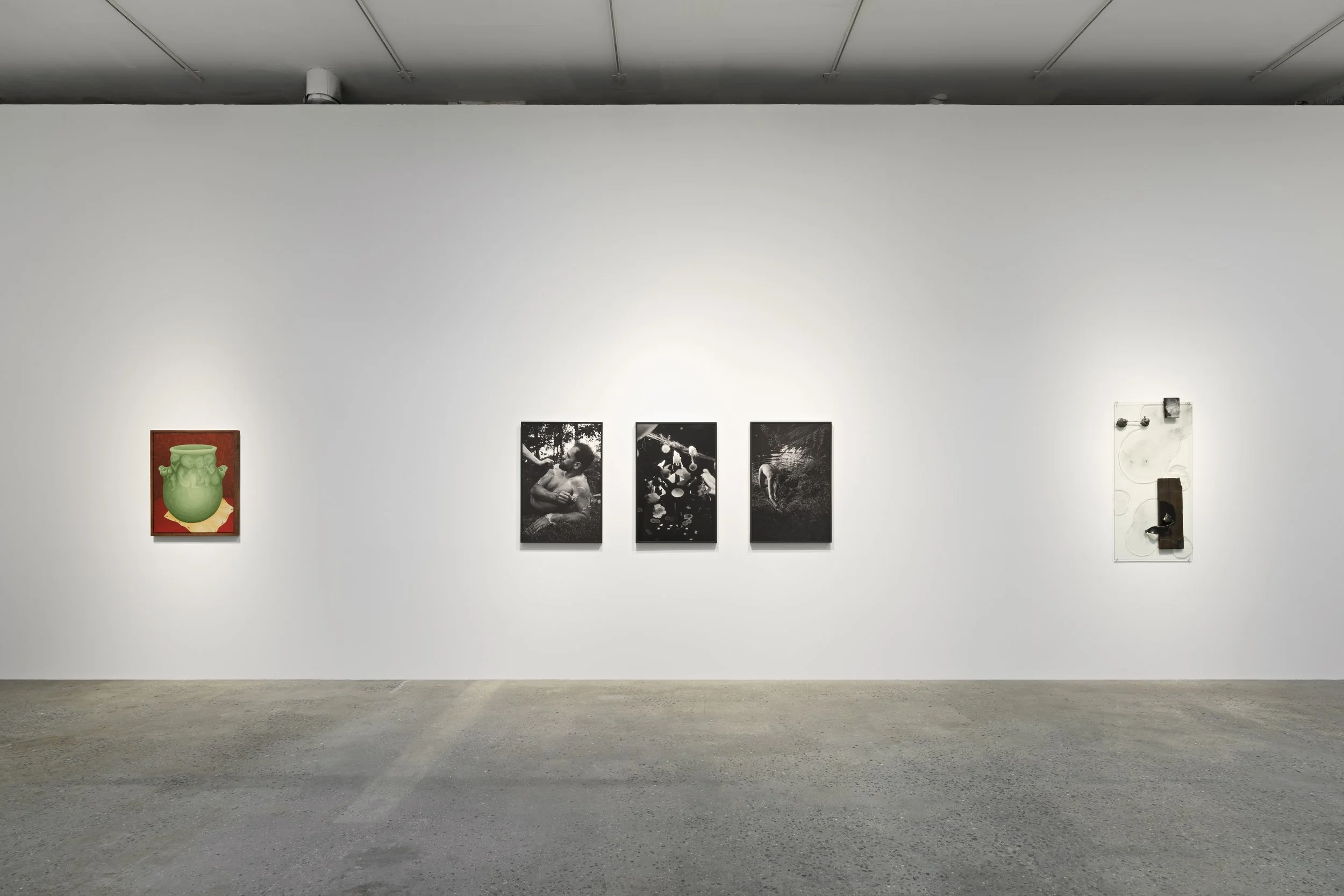  Installation View,  soul breaker , Company Gallery, New York, NY 