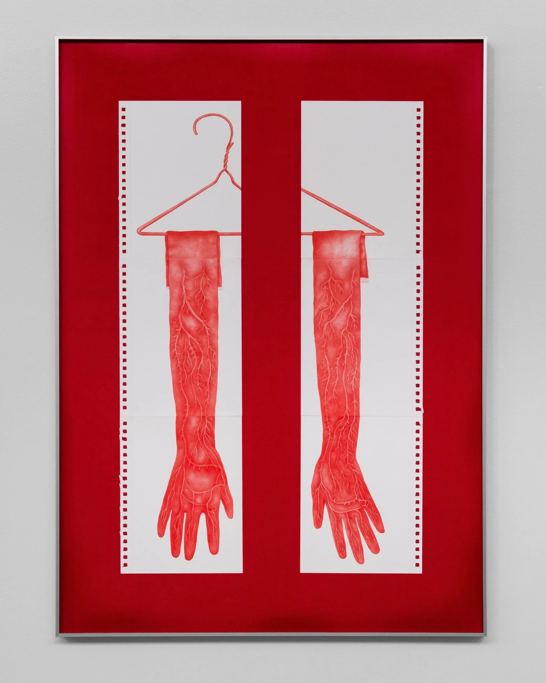   Dedos que de tus dos palmas brotan , 27” x 38”, colored pencil on paper, 2025 