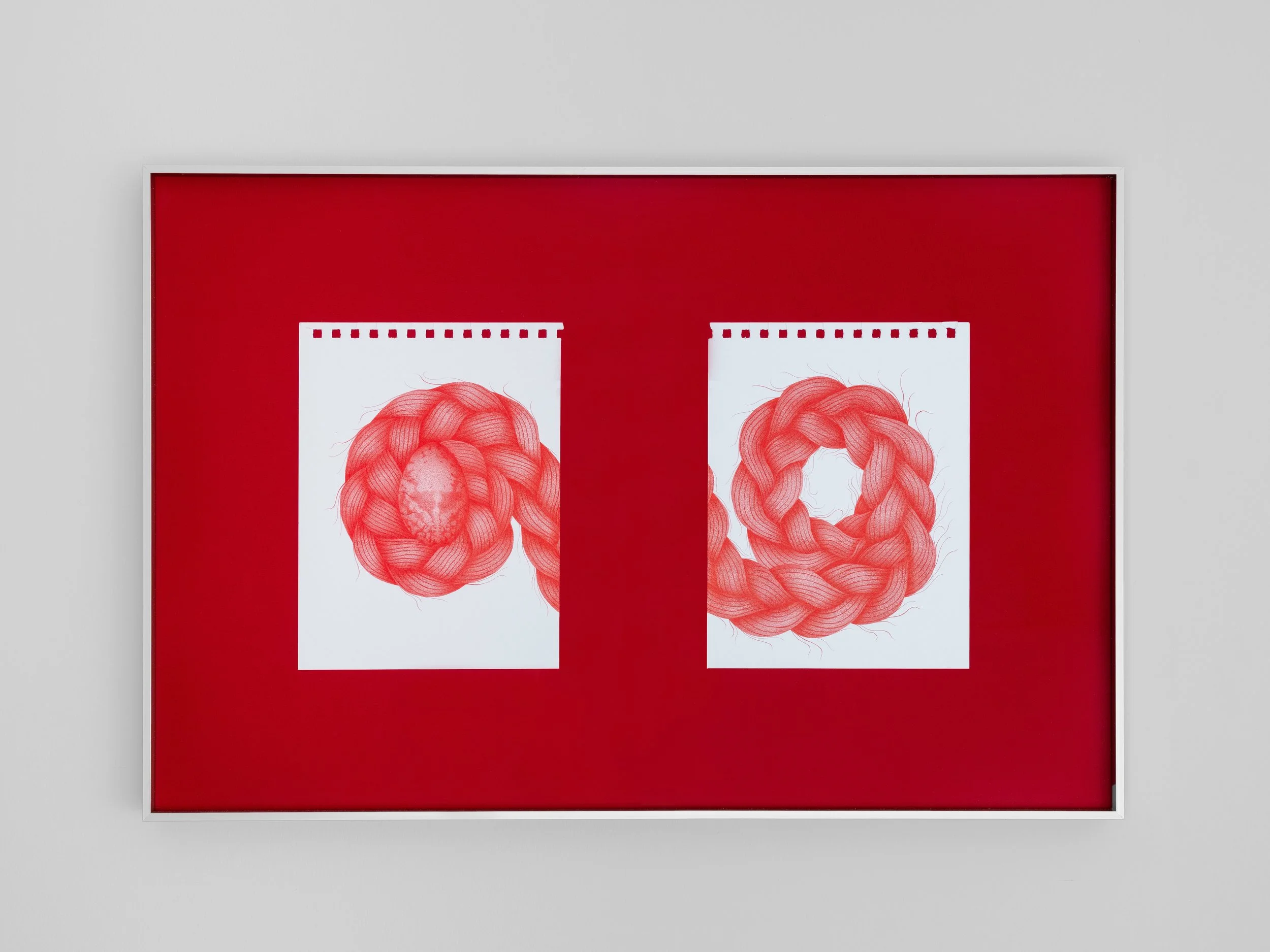   Dos nidos,  17.3” x 26”, colored pencil on paper, 2026 