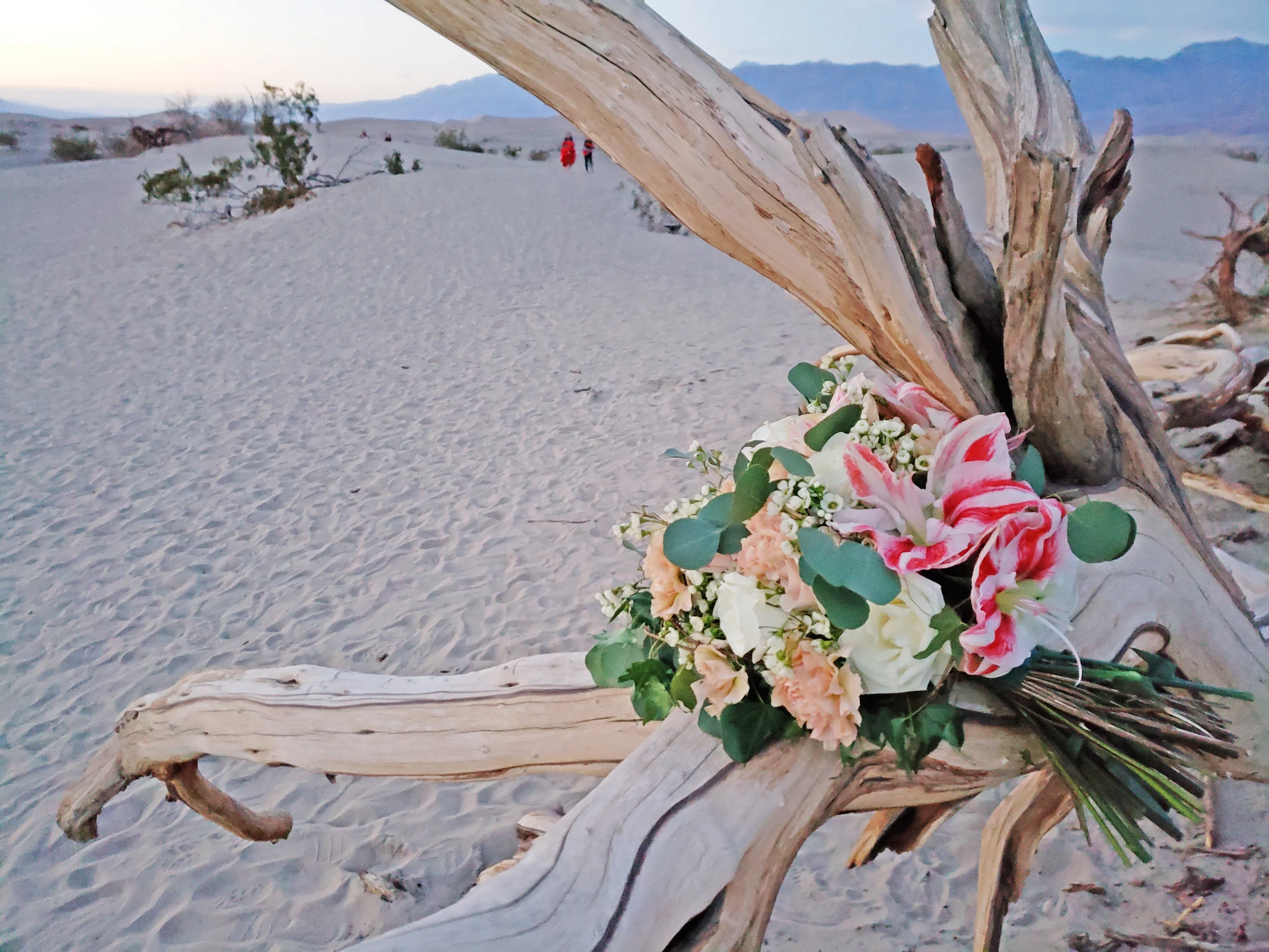 Death Valley Wedding Photoshoot Montreal Florist