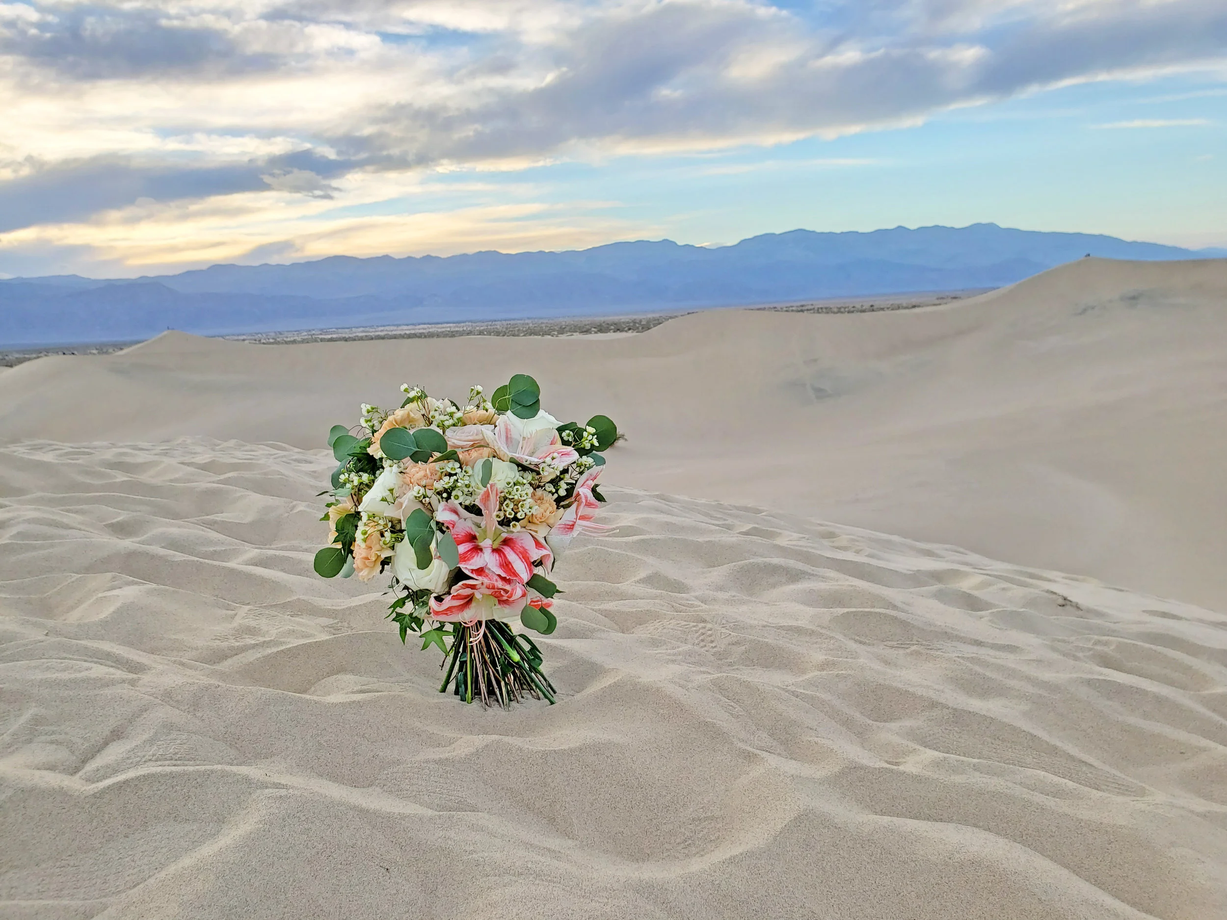 Death Valley Wedding Photoshoot Montreal Florist