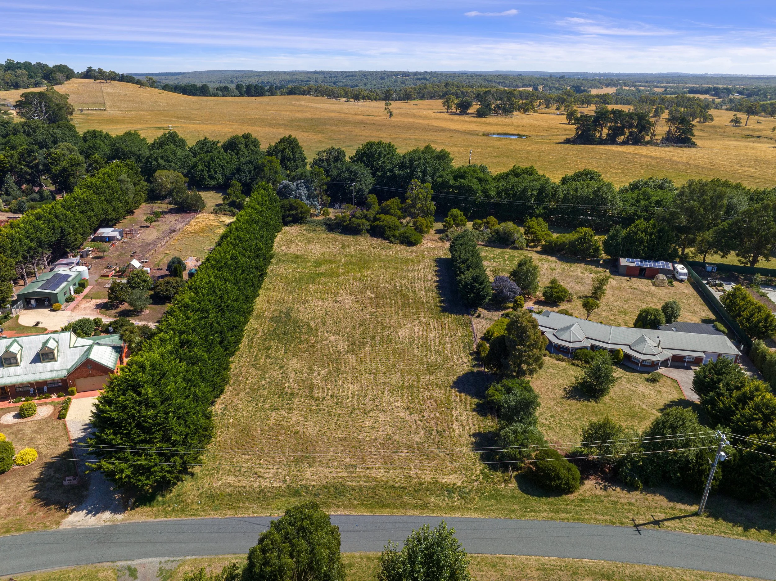 DJI_0398.jpg