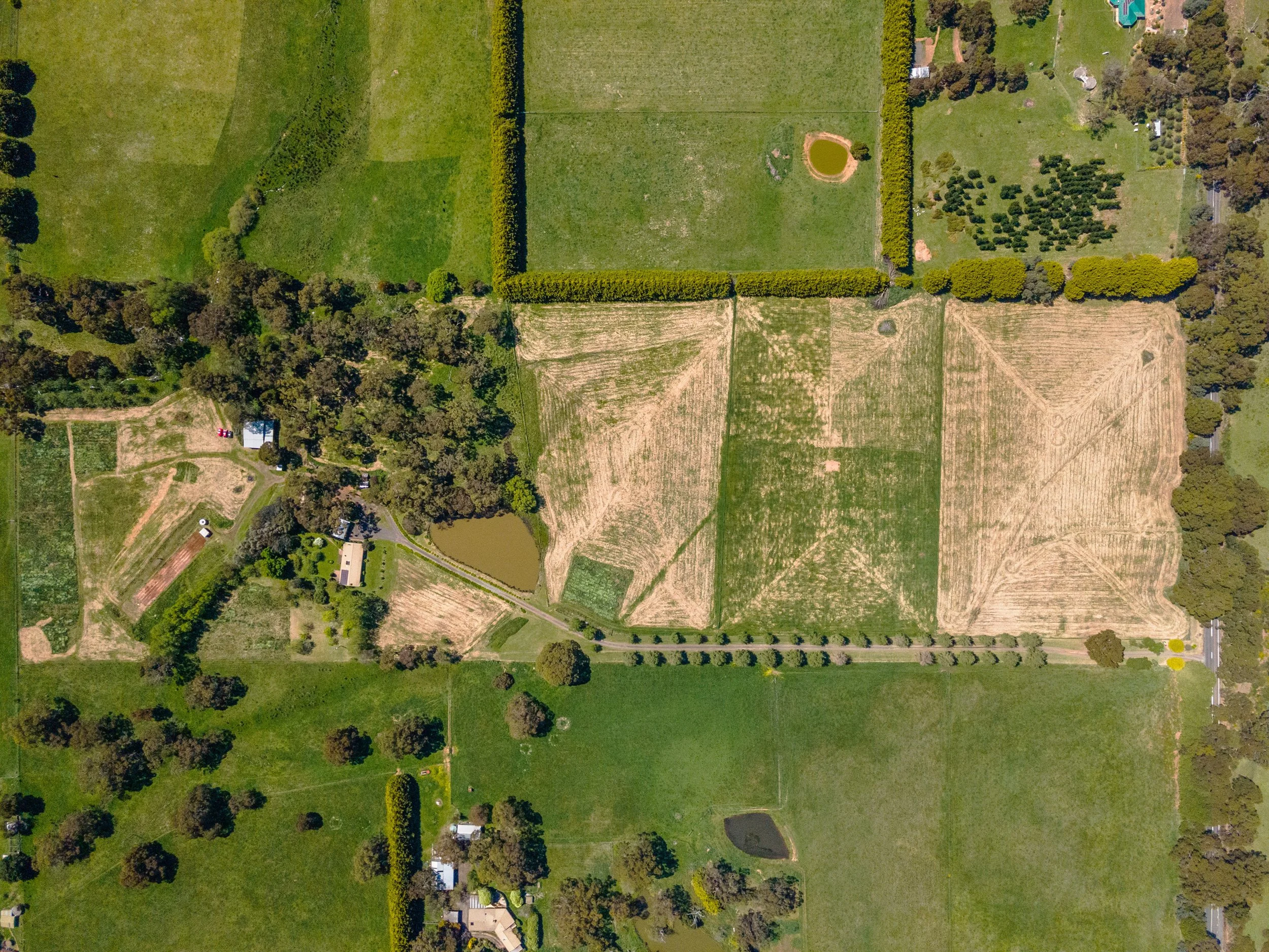 DJI0090.jpg