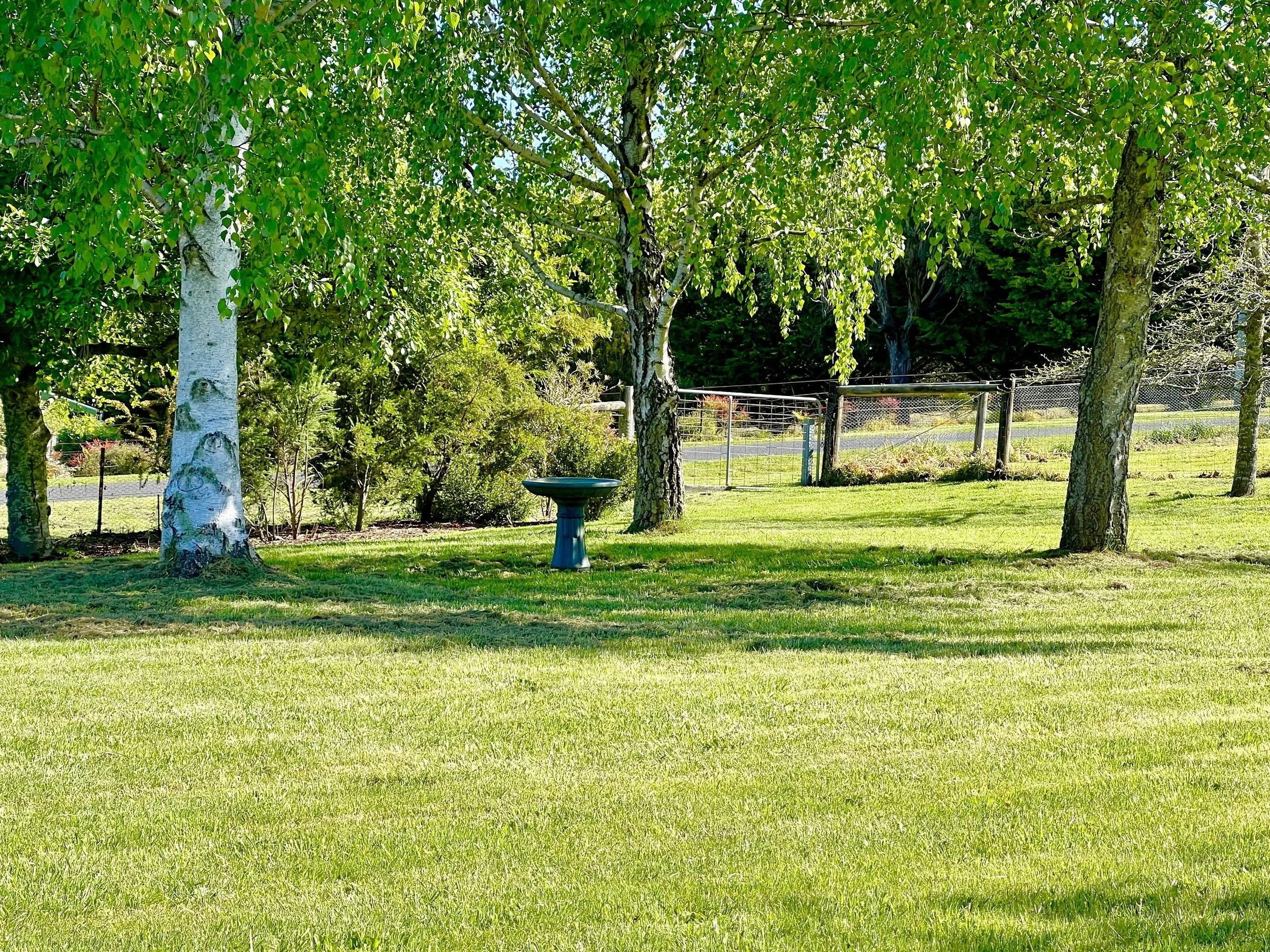 IMG_7749 Edit 1.JPEG