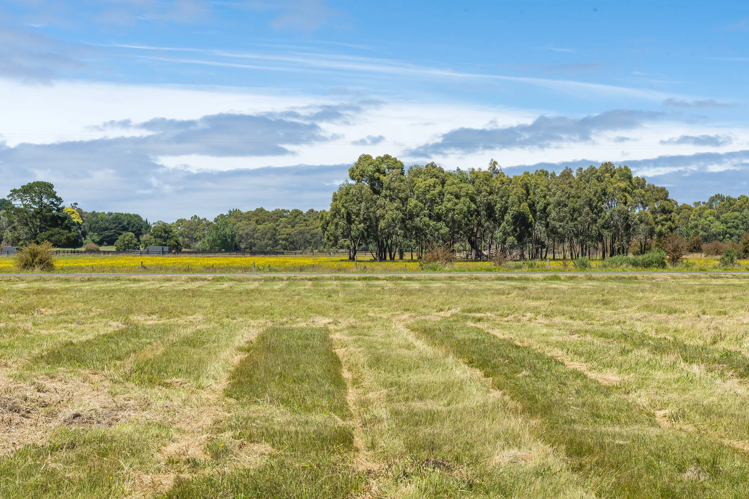 007_Open2view_ID861452-130_Russells_Road.jpg