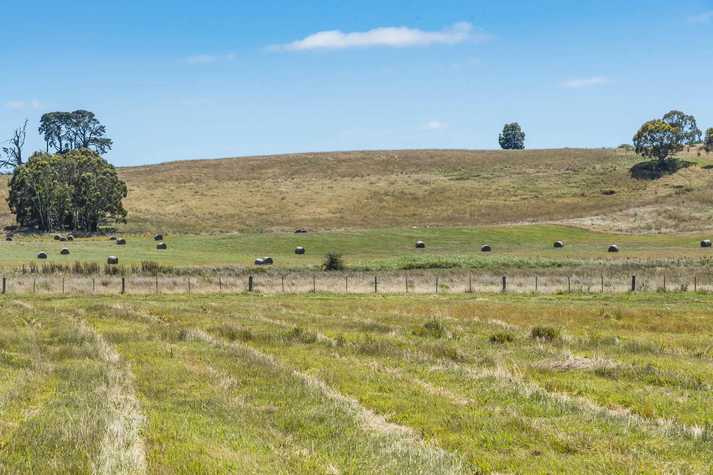 008_Open2view_ID861452-130_Russells_Road.jpg