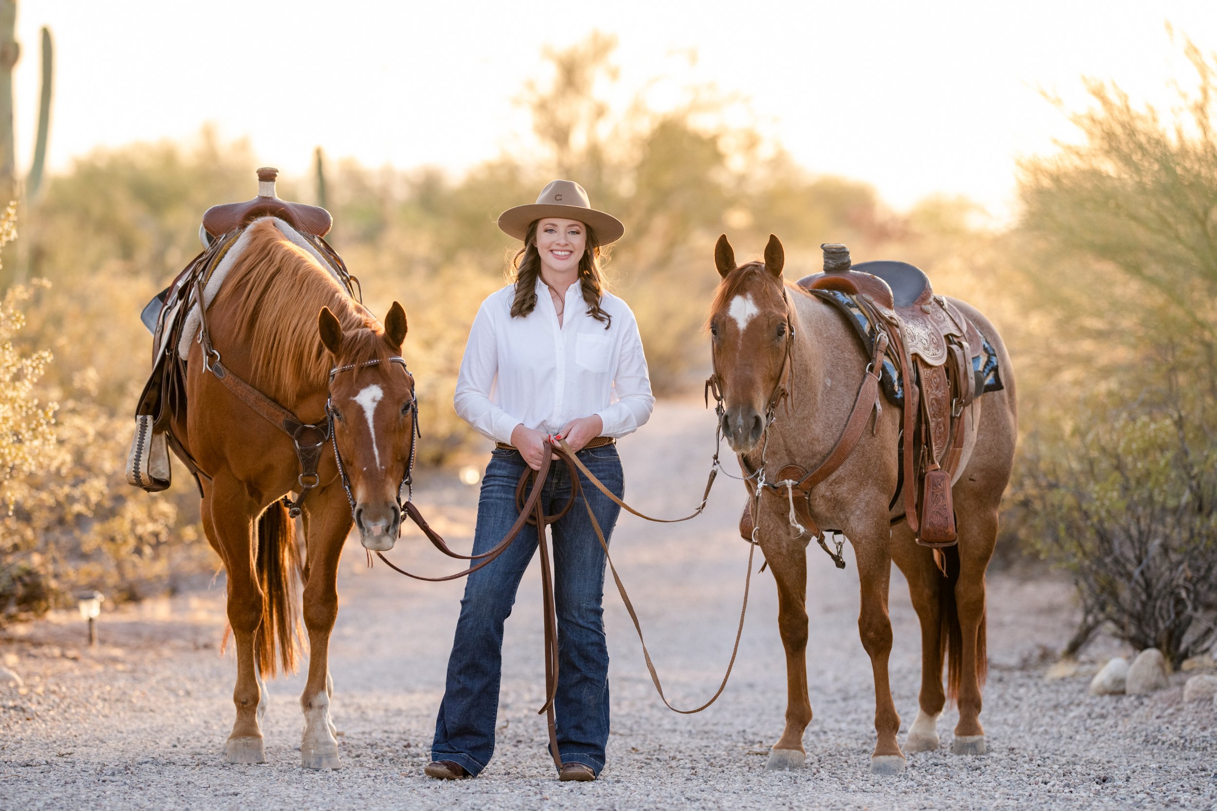Cholula Collection By STS Ranch - COWGIRL Magazine