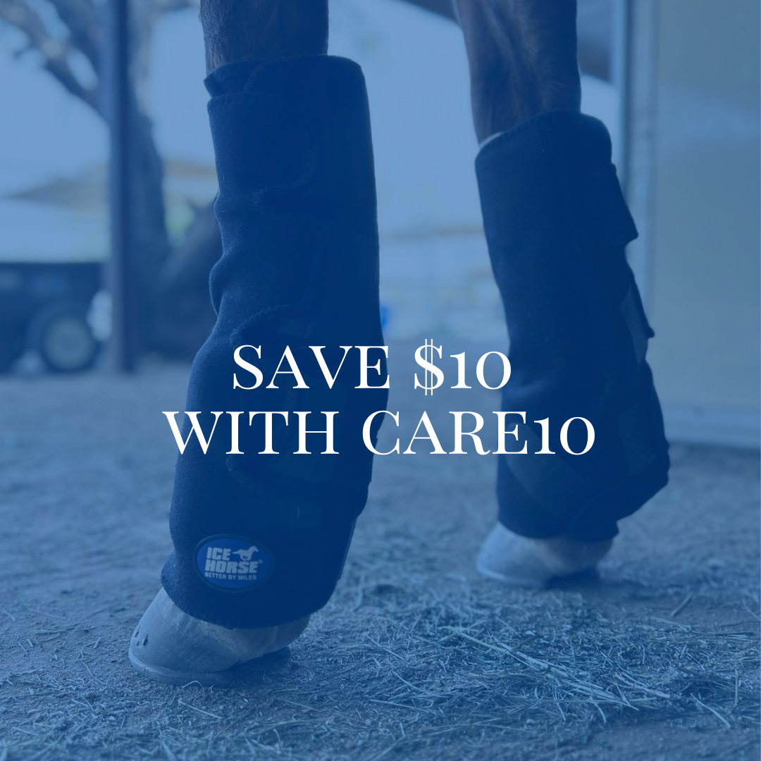 The Benefits of Using Ice Boots for Horses — CAROLINE ARENDT