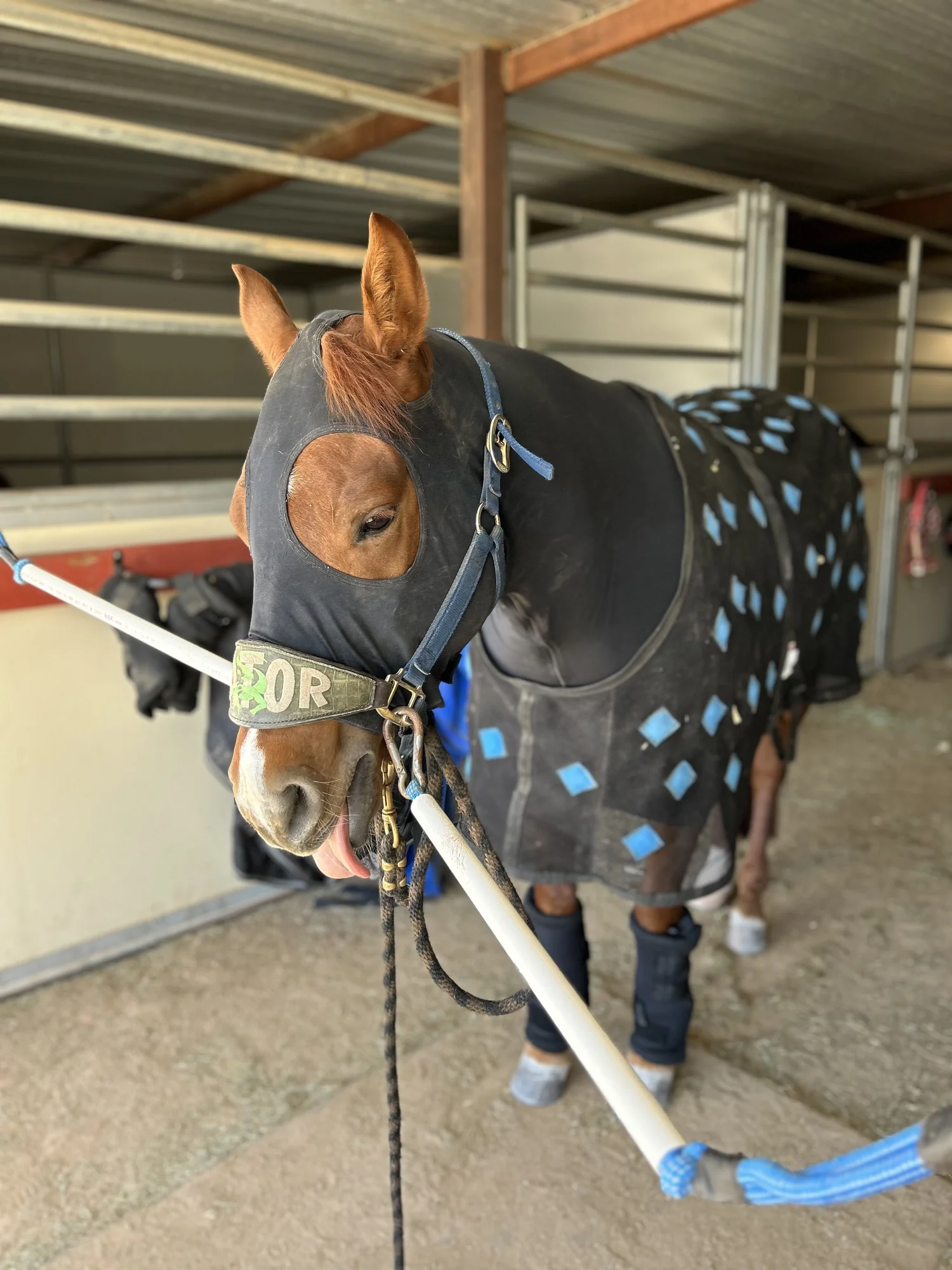 Caring for Your PHT Products — CAROLINE ARENDT