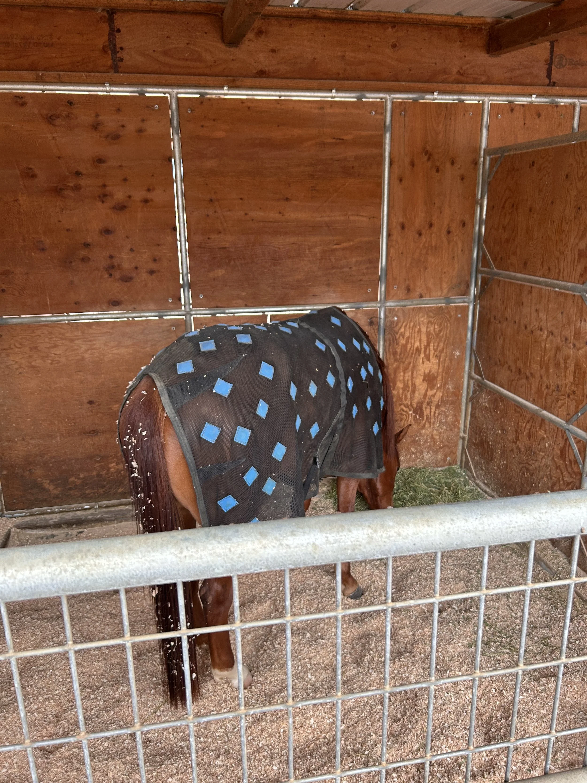 Caring for Your PHT Products — CAROLINE ARENDT