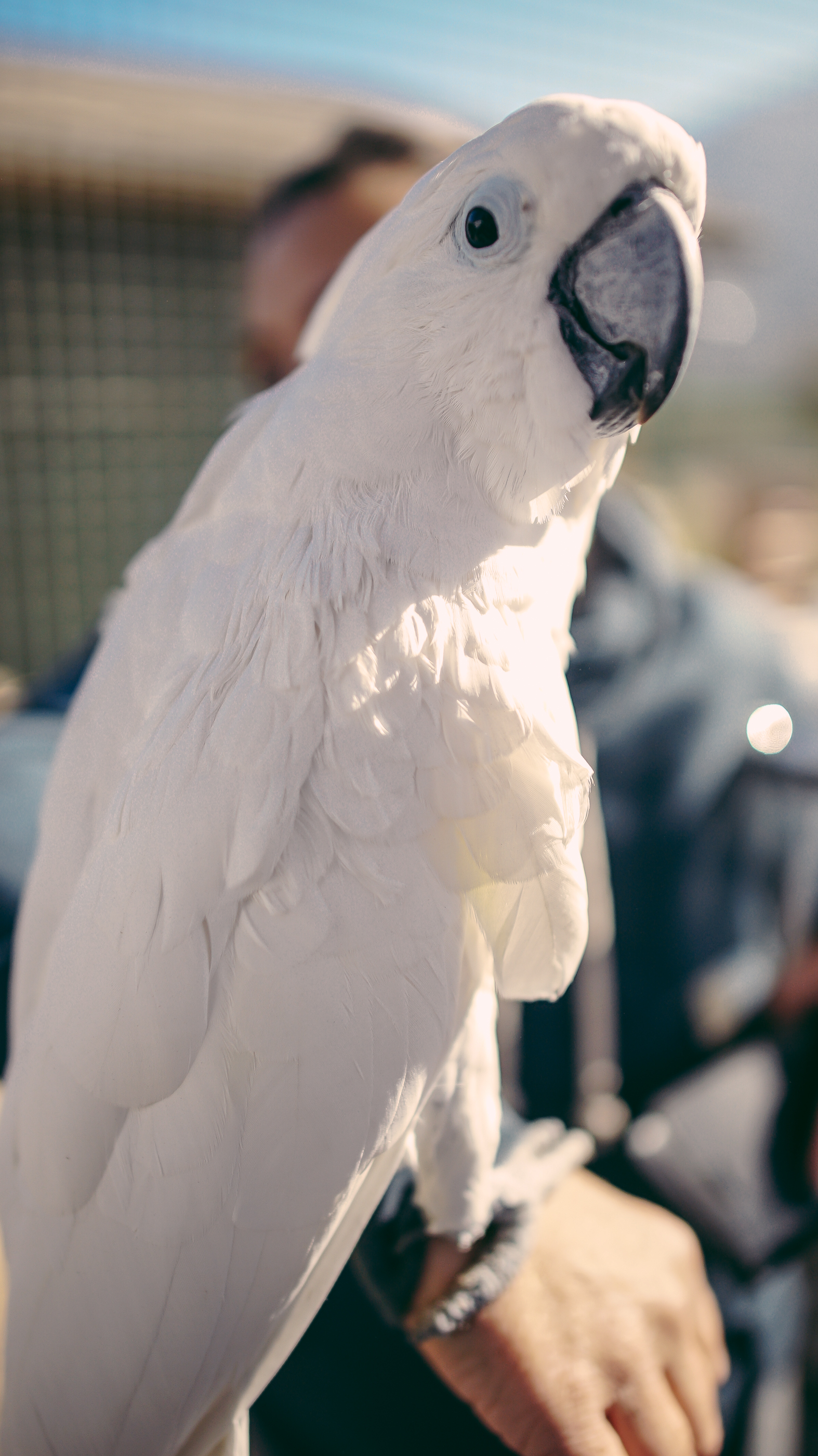 SOWAHEART_PHOTOSBYHOPELEIGH-05796.jpg