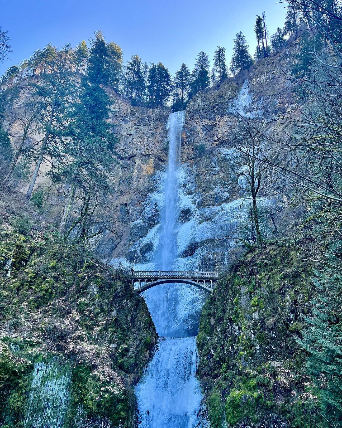 The last time I was at @multnomahfalls, I had just gotten my learner&rsquo;s permit, Bill Clinton was the president and one of the most memorable things was the fact that my dad and I went to a PNW restaurant chain, Shari&rsquo;s, three times in one 