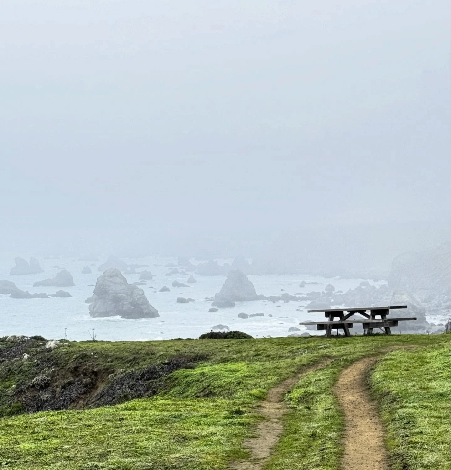 It was hella real California ✌🏻. So grateful that I got to spend nearly two weeks in California, the longest time I&rsquo;d spent there since moving to the PNW nearly 5 years ago. While I&rsquo;ve returned a few times, this was the first time in whi