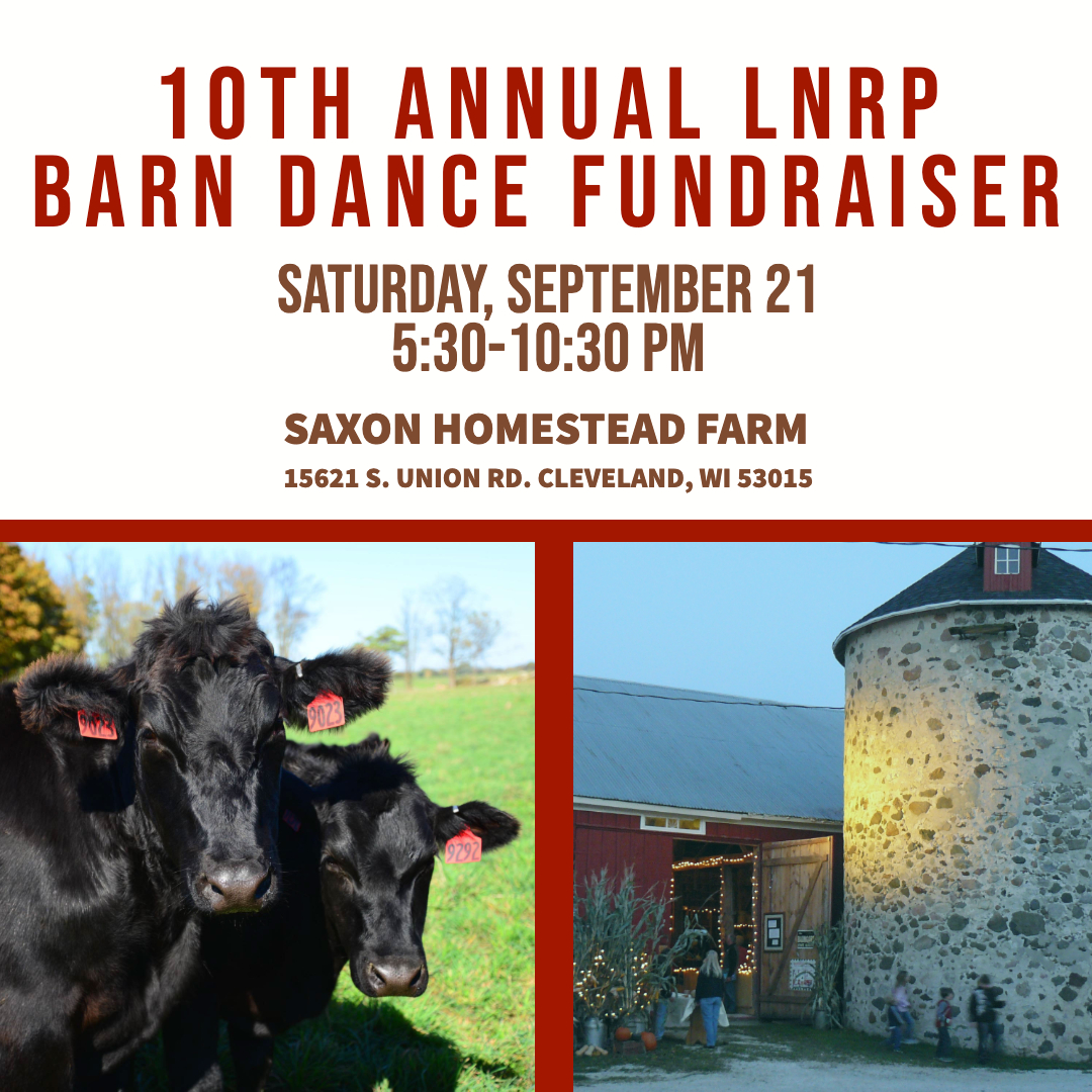 barndance19 (7).jpg