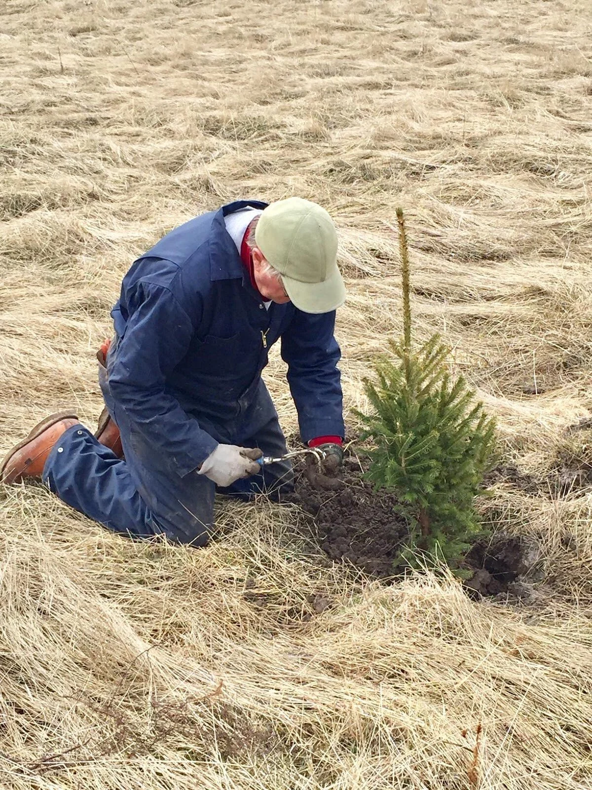 Forest Recovery Project Celebrates Earth Day by Planting 700 Trees