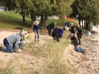 Project Updates — Spring 2020