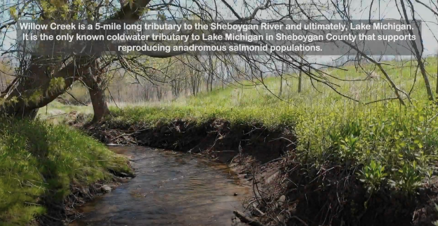 Willow Creek Habitat Corridor: City of Sheboygan