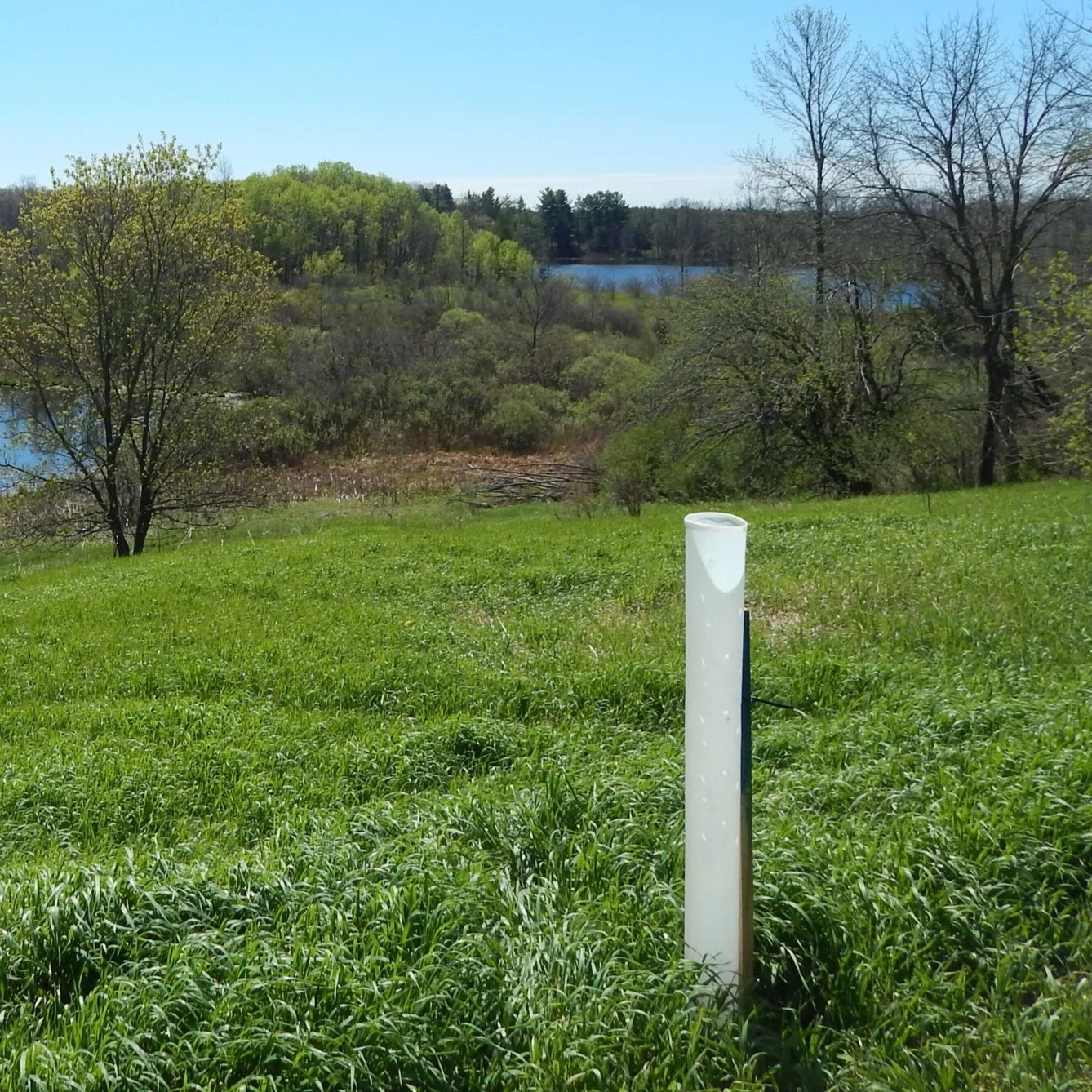 Coastal Resiliency: EAB Mitigation and Coastal Infiltration with Trees
