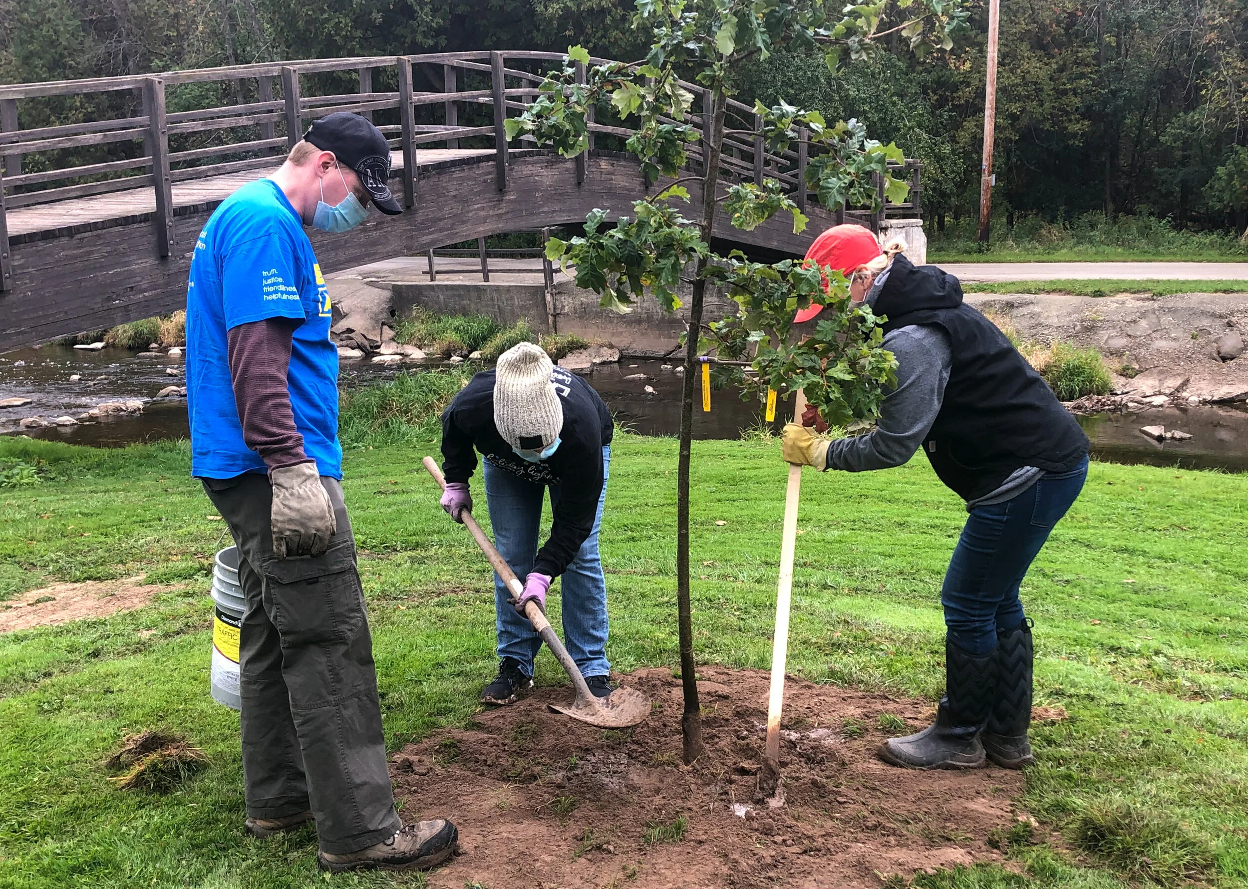 ROOTS Kicks Off Collaborative Tree Planting Projects