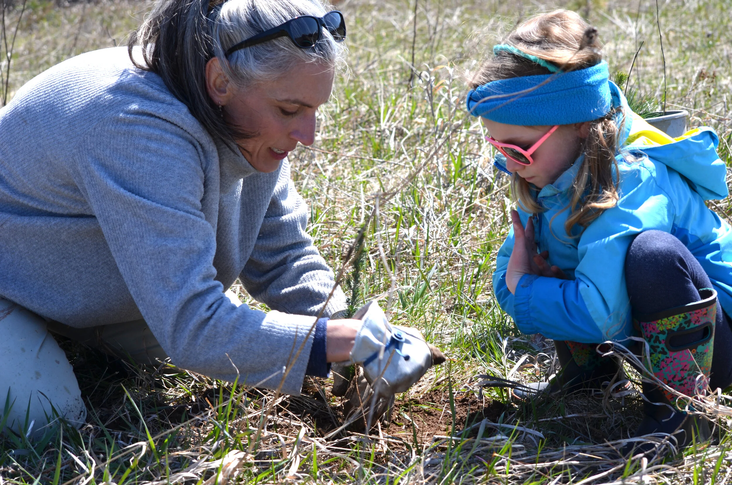 The Climate Change Coalition of Door County's Season of Action