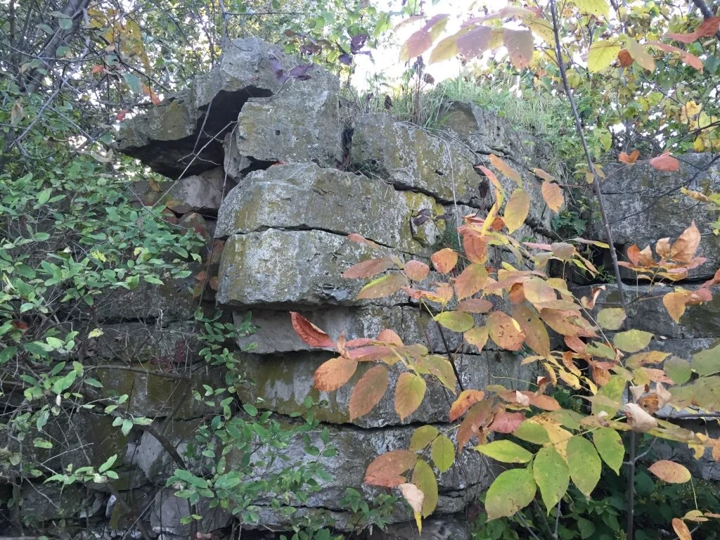 Geology &amp; Nature Photography Instruction at Brady’s Rocks and along the Ice Age Trail