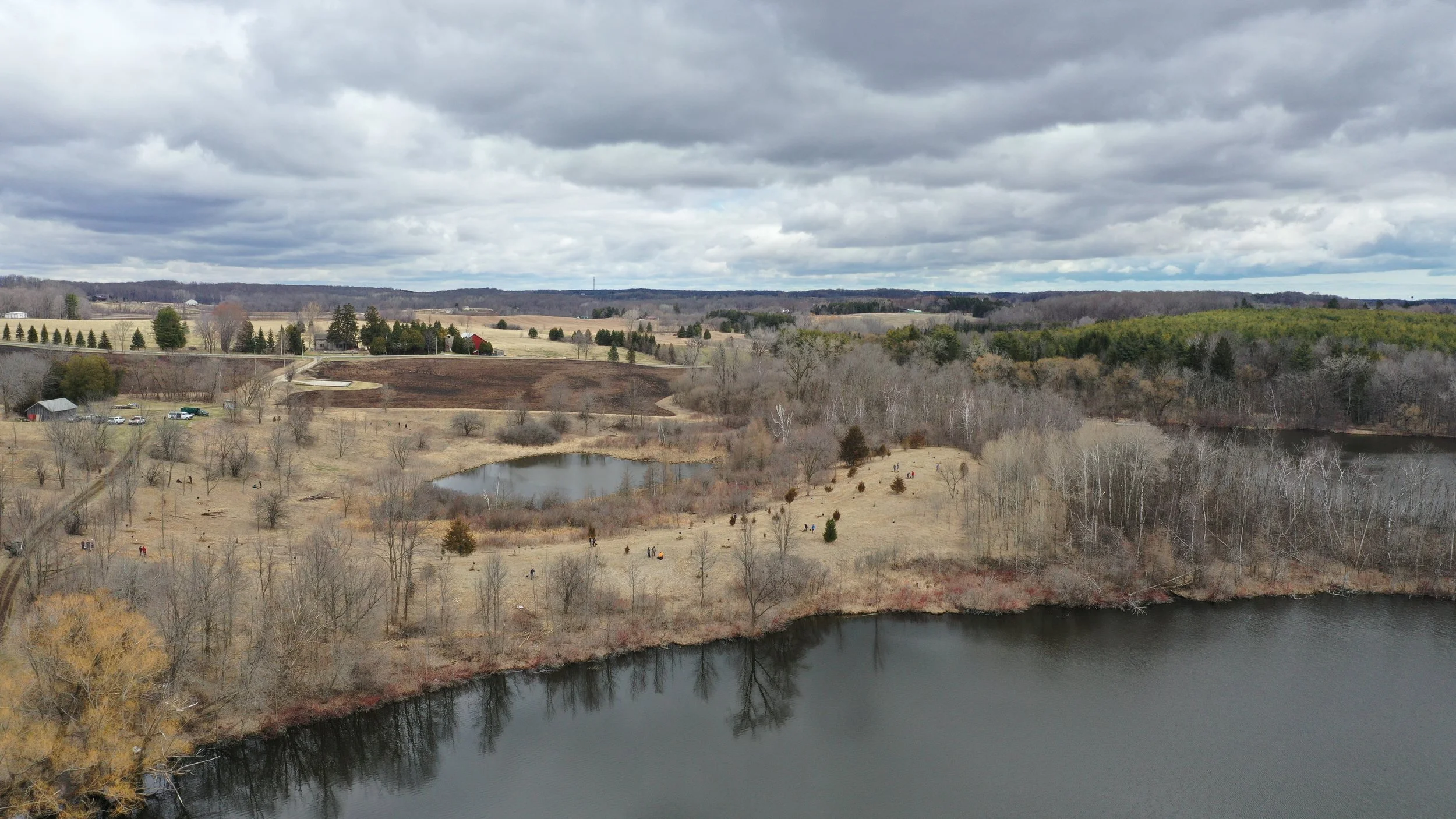 Project Update — Gerber Lake Tree Planting