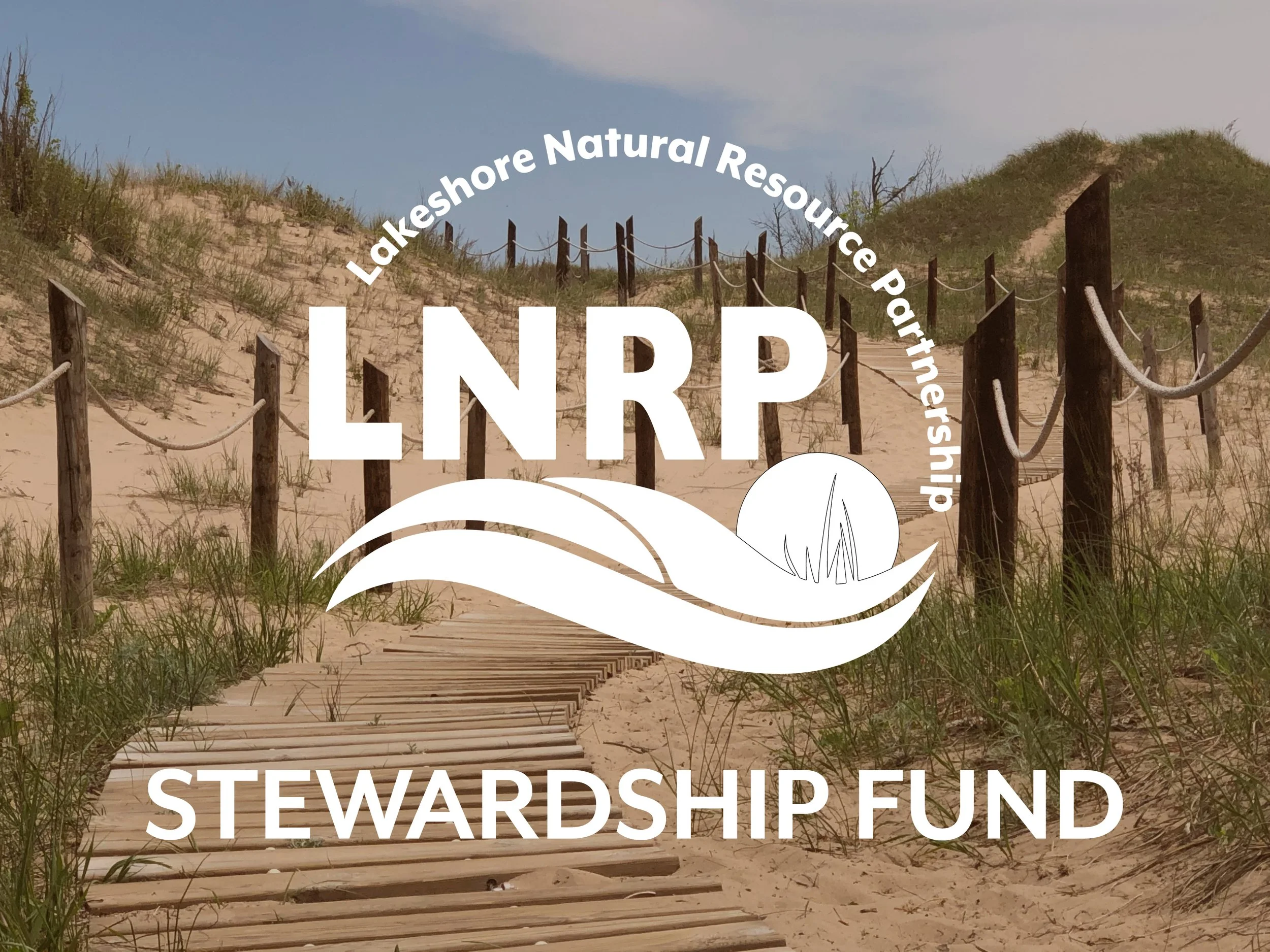 Stewardship Fund