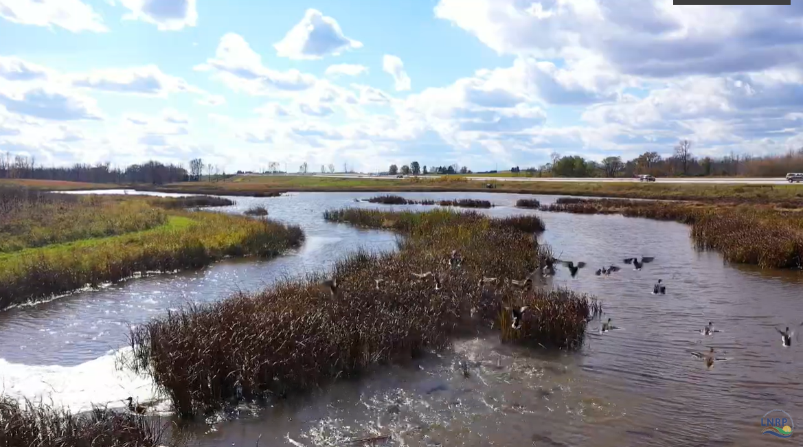 20th Milestone Anniversary - Endowment Fund Challenge Gift Opportunity