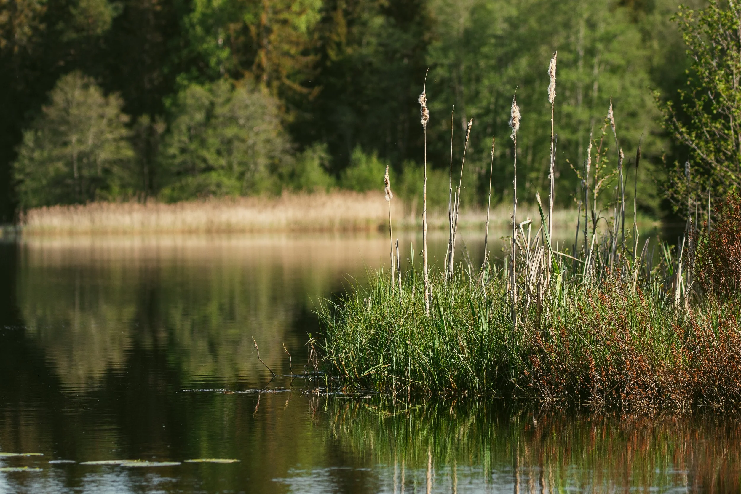 LNRP Wraps Up Climate Adaptation Fund Efforts