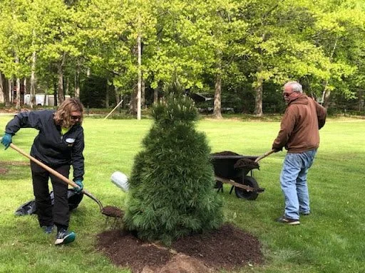 Town of Wilson Utilizes ROOTS Funding