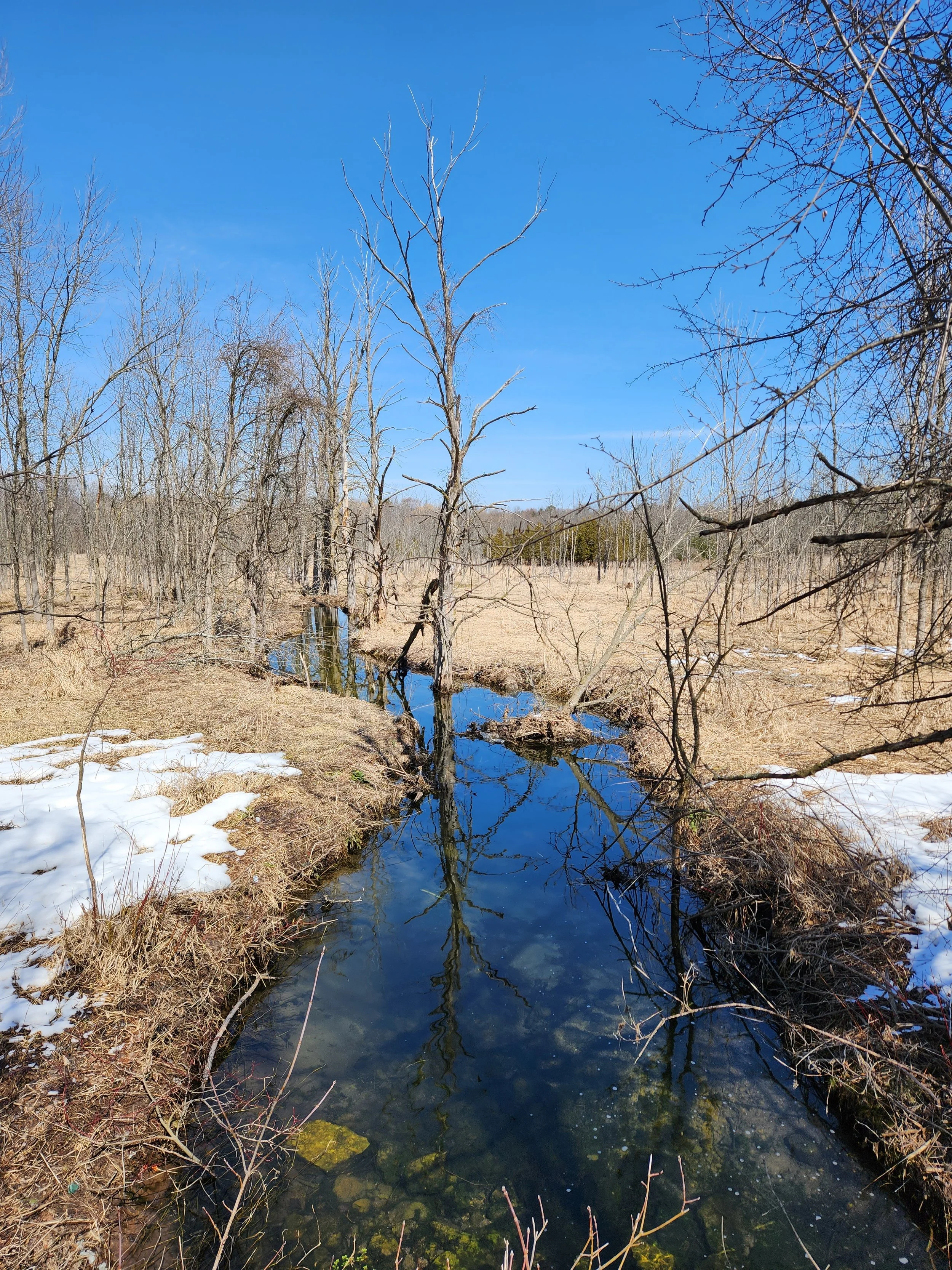 Water, Water, Everywhere! A Message from Executive Director Mike Mullen
