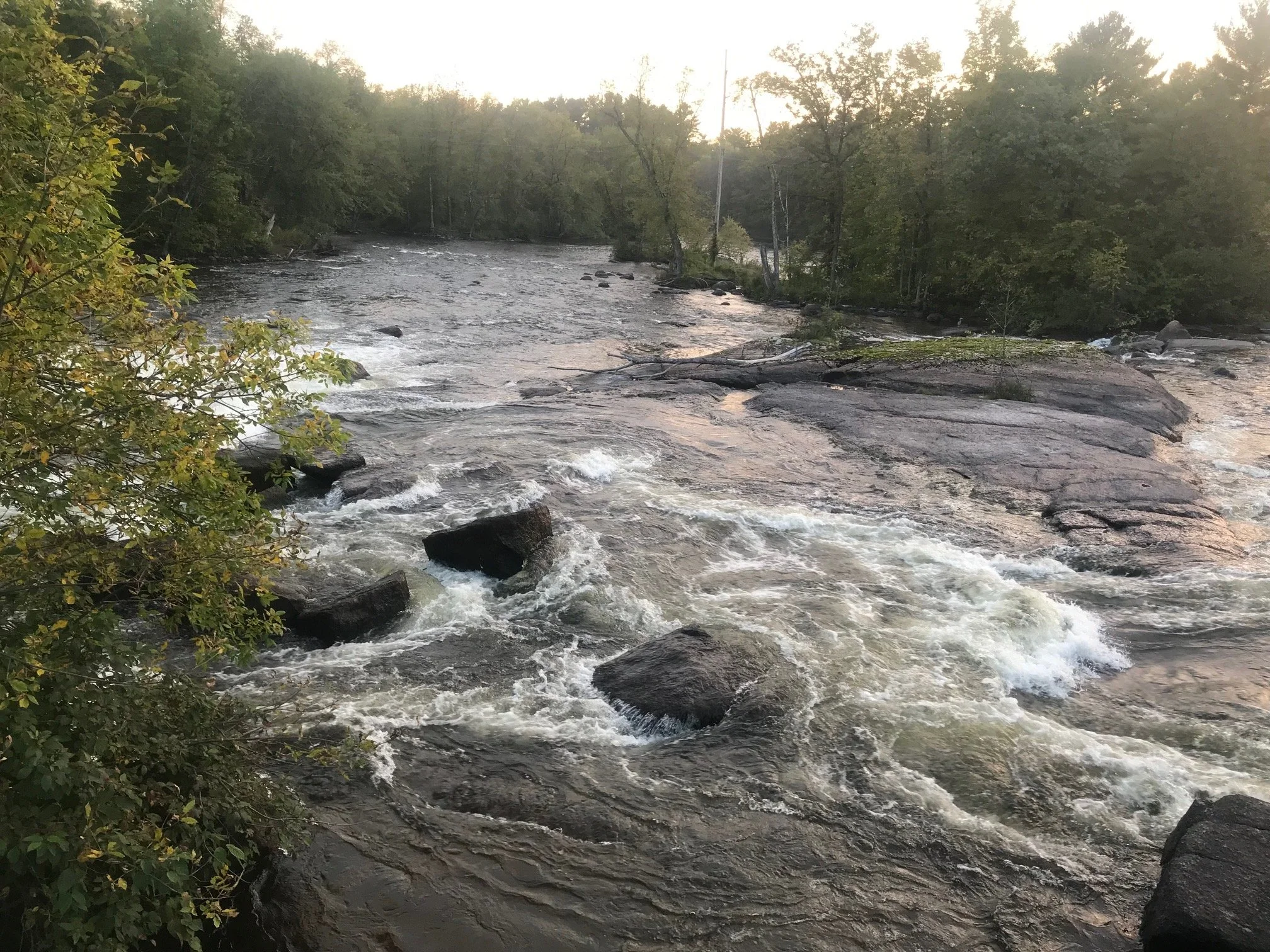 LNRP's Land Acknowledgment Statement