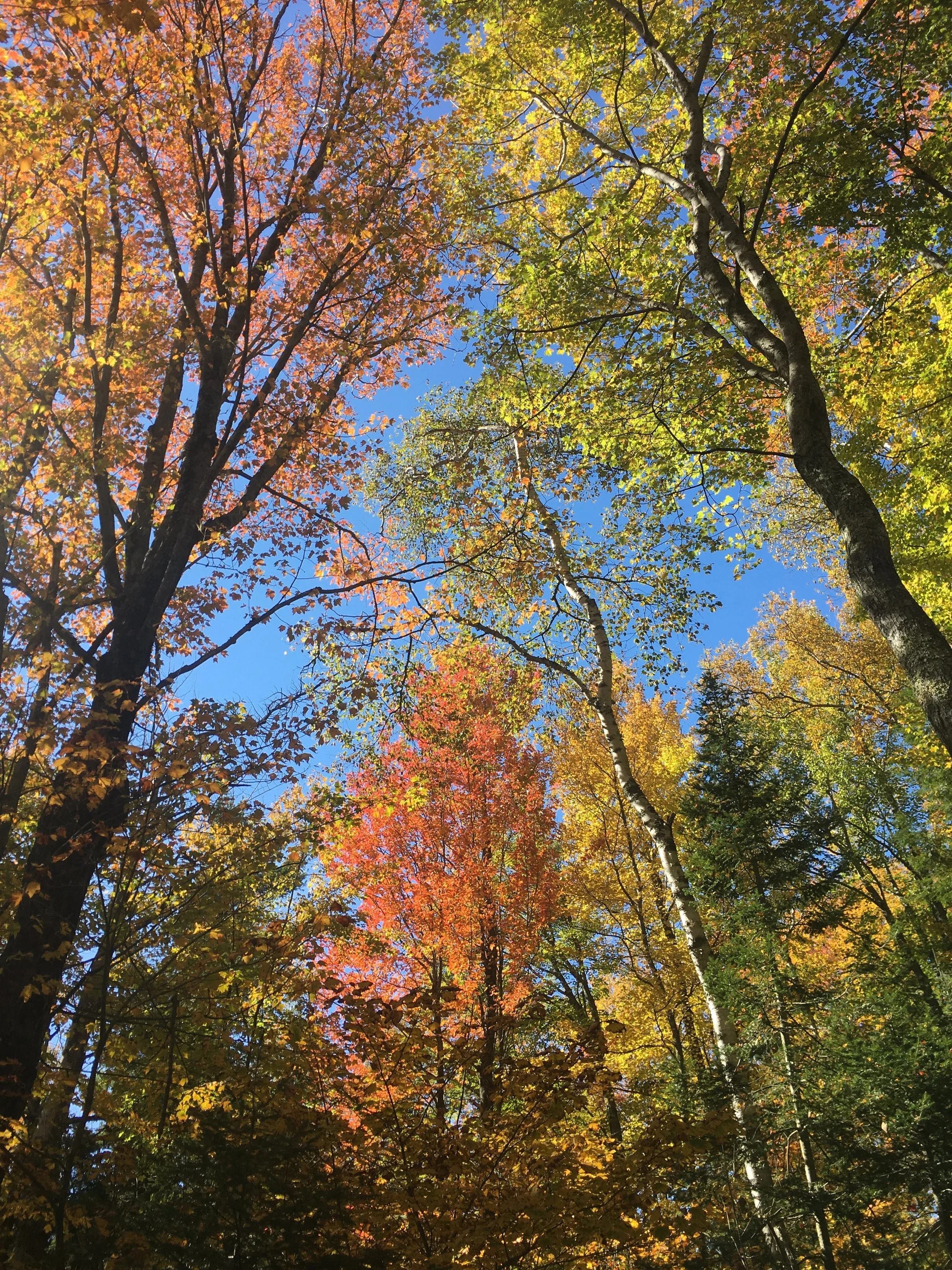 LNRP Fall 2024 Updates from Executive Director Mike Mullen