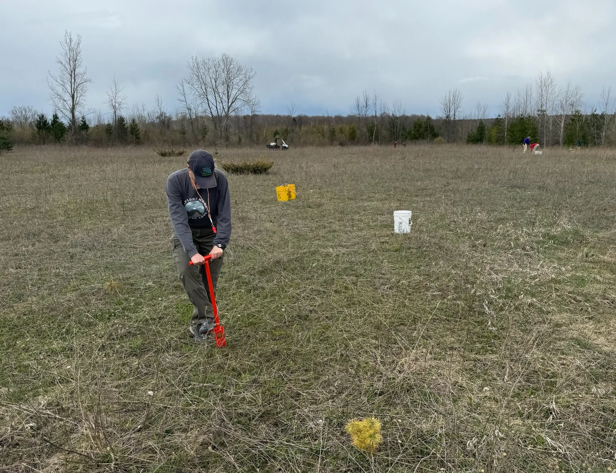 Climate Change Coalition of Door County Awarded $120,150 Grant for Boreal & Temperate Mesic Forest Climate Survivability Project