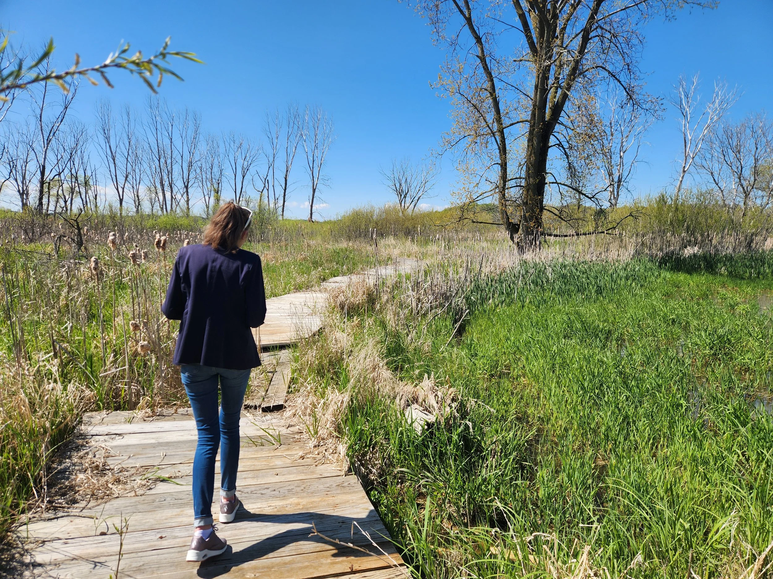 A Path to Resilience: Restoring Kewaunee’s Marshland Walk and Wetlands