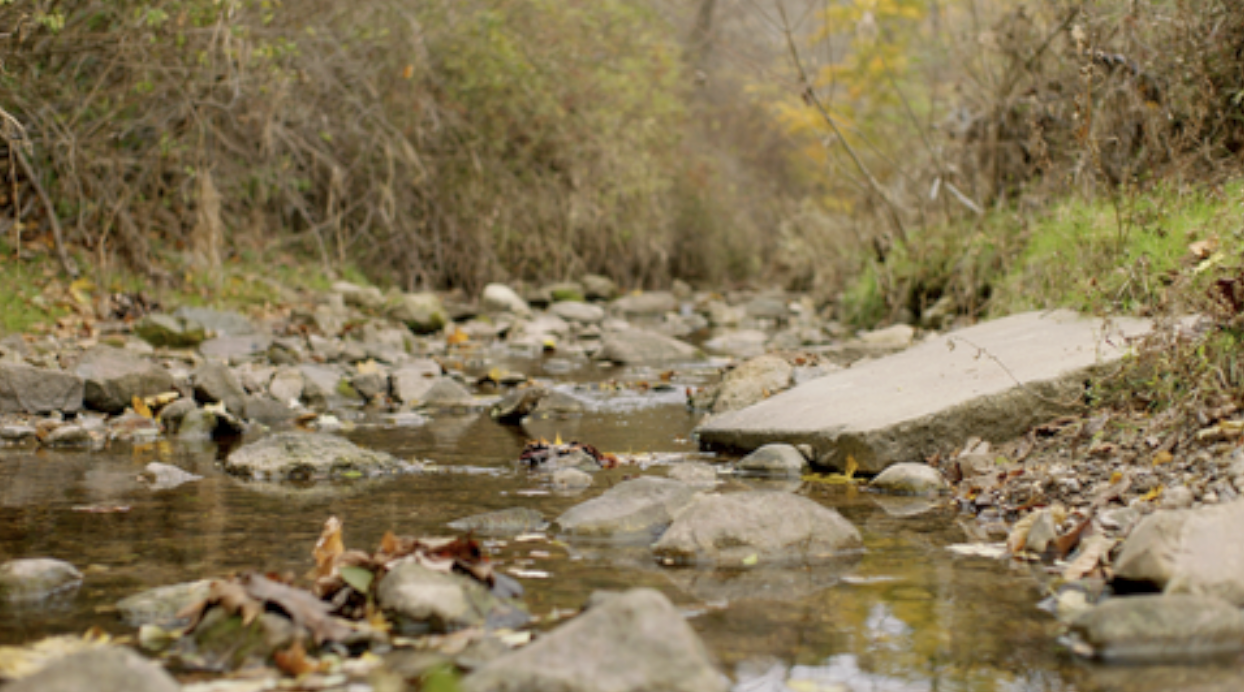 Vantage Data Centers Pledges $3M to Lakeshore Natural Resource Partnership to Restore Valley Creek Corridor and Advance Water Positivity in Wisconsin