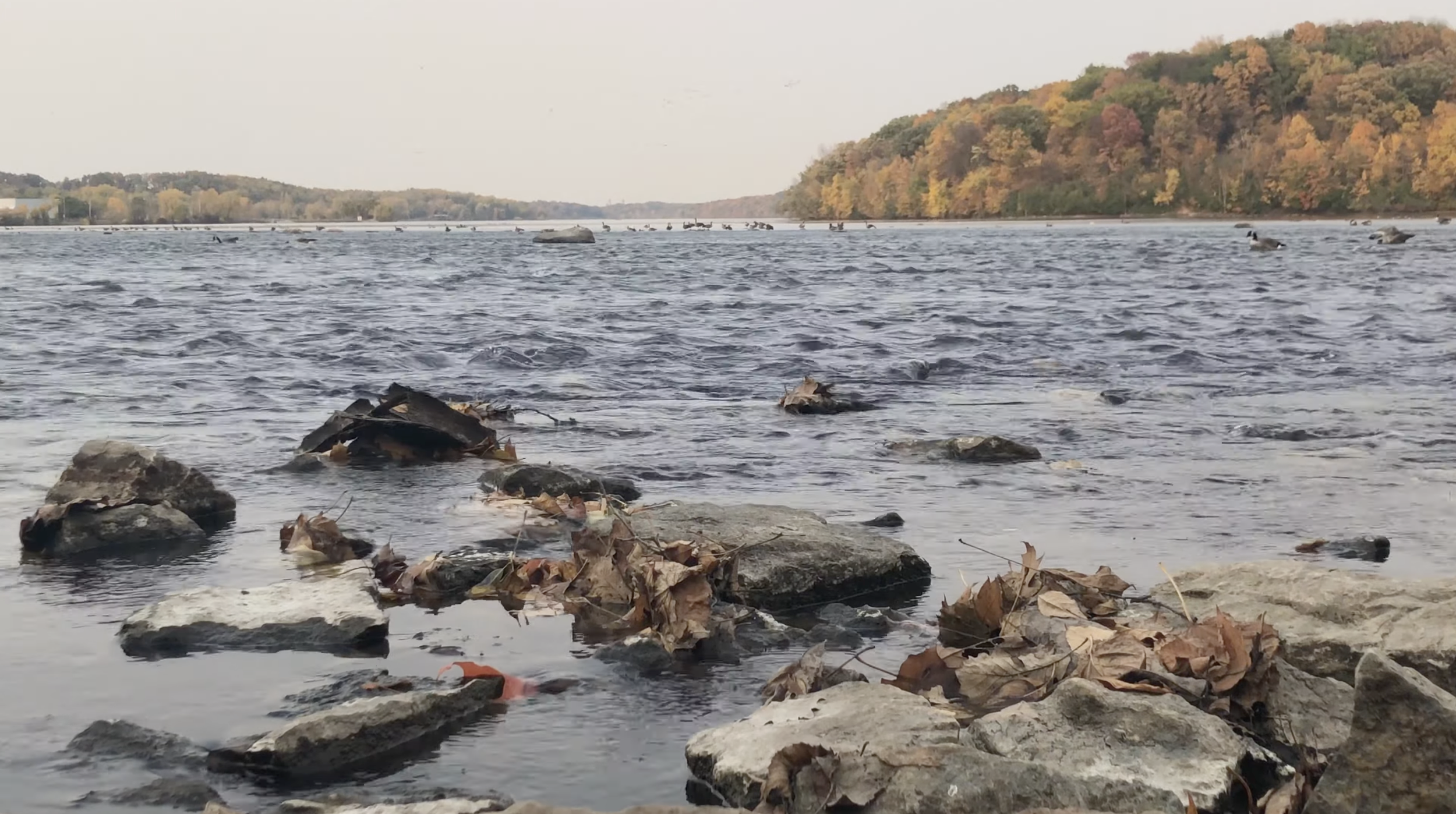 LNRP-Fall Header Video Image Banner.png