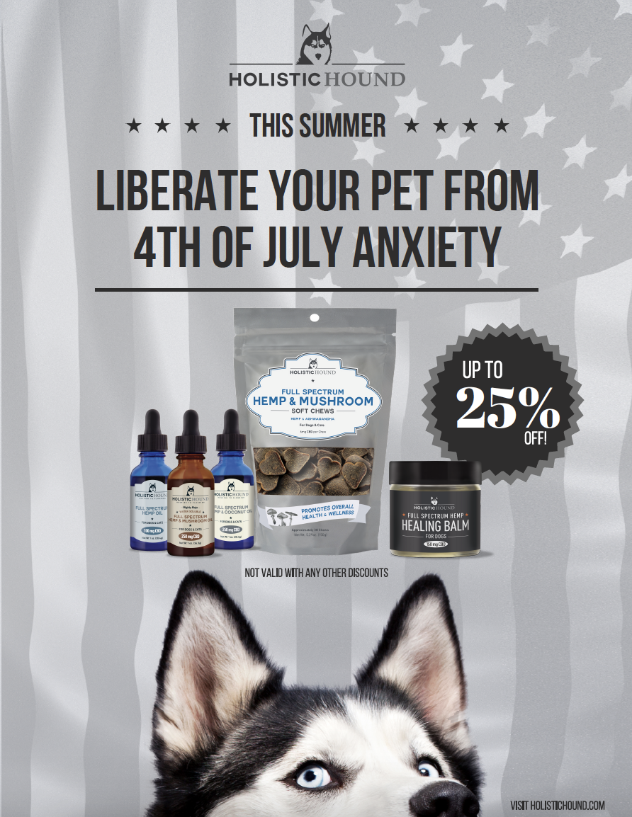 4th of July Poster w/ Promo