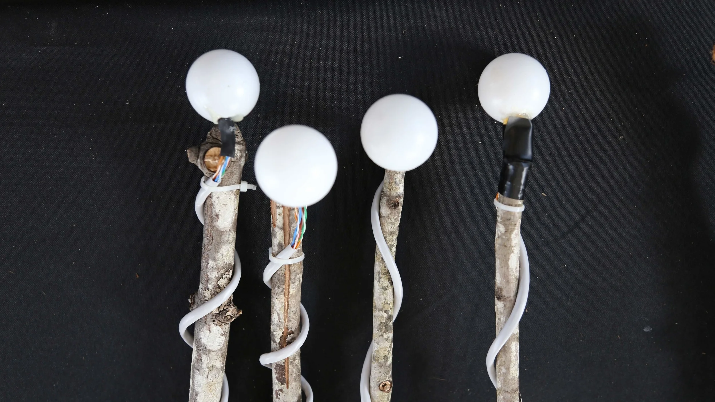 The 5th LAST Festival A Life/Art/Science/Tech (LAST) festival  presented by Stanford University