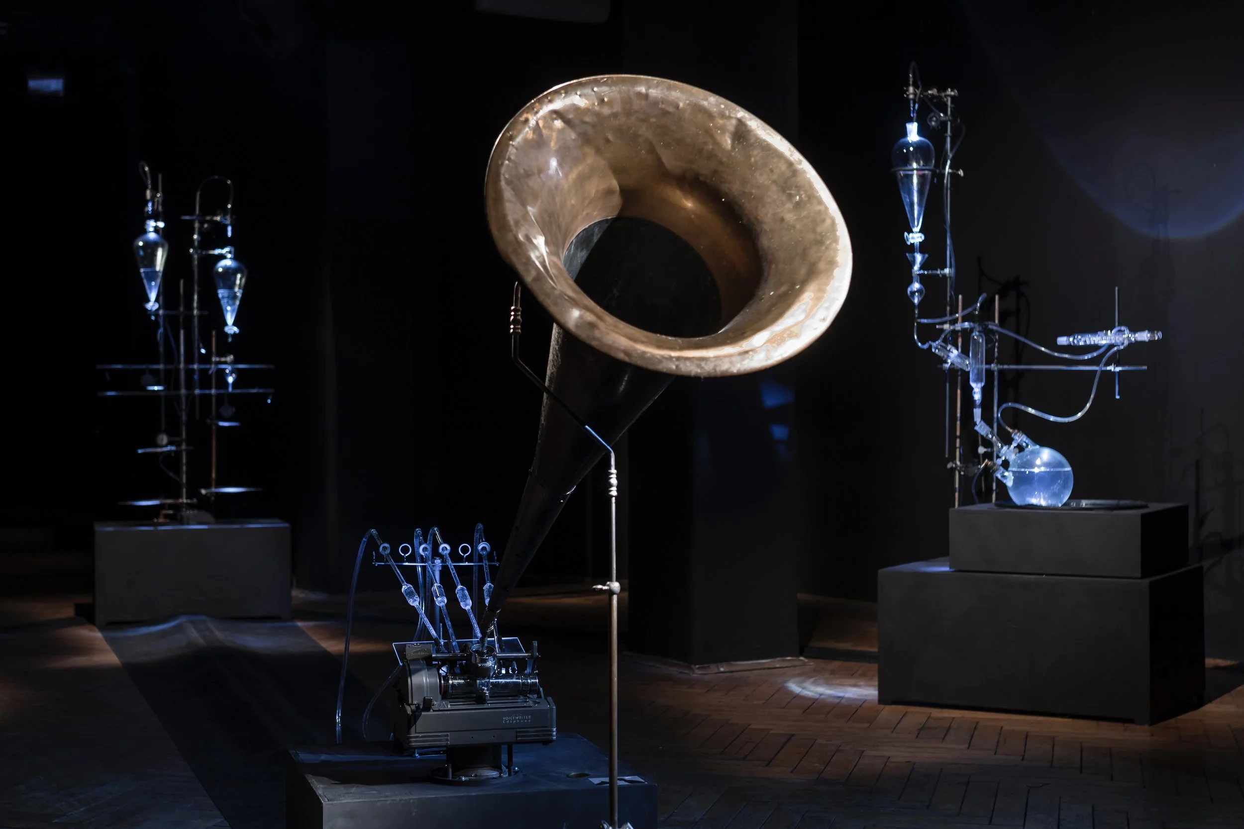 Photo by- Miha Godec (3).jpeg