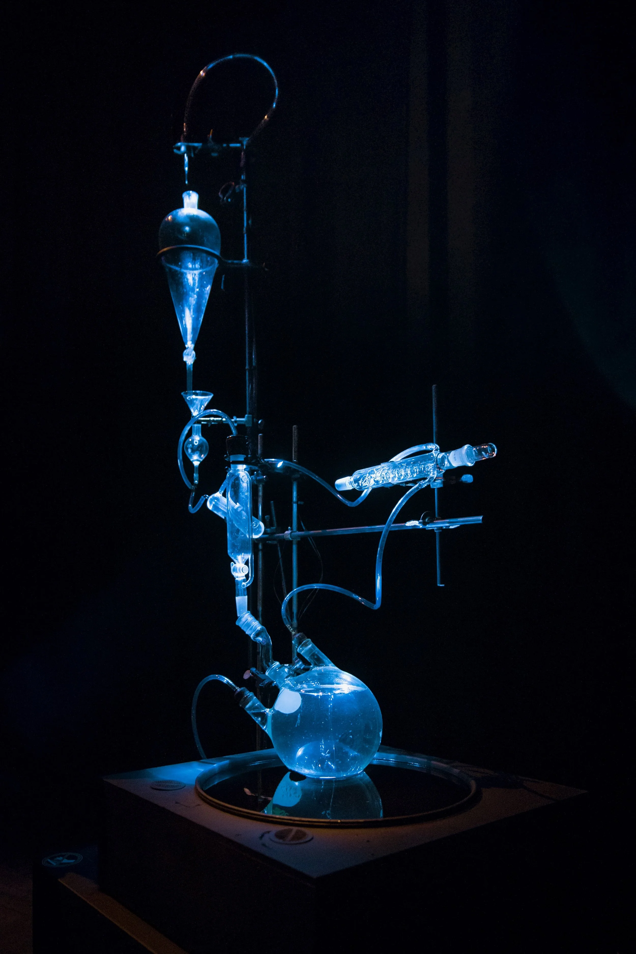 38312106934_e8a159b300_o (1).jpeg