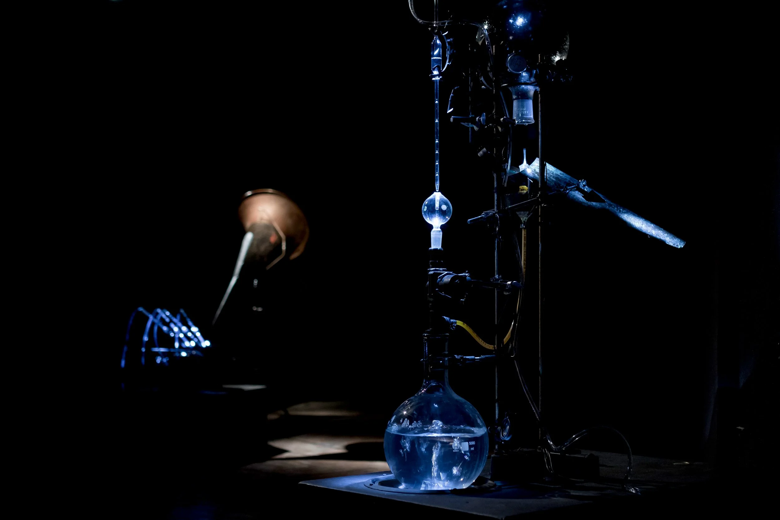 Photo by- Miha Godec (2).jpeg