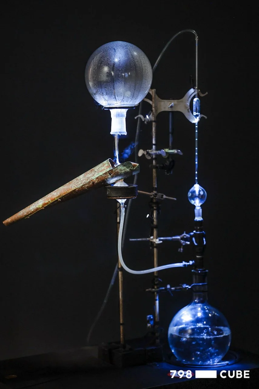 AV9A2013-opq3431131414 (1).jpeg